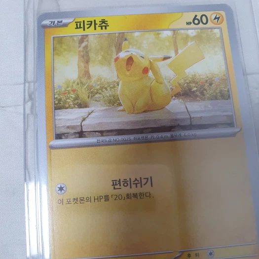 스타일 카드
