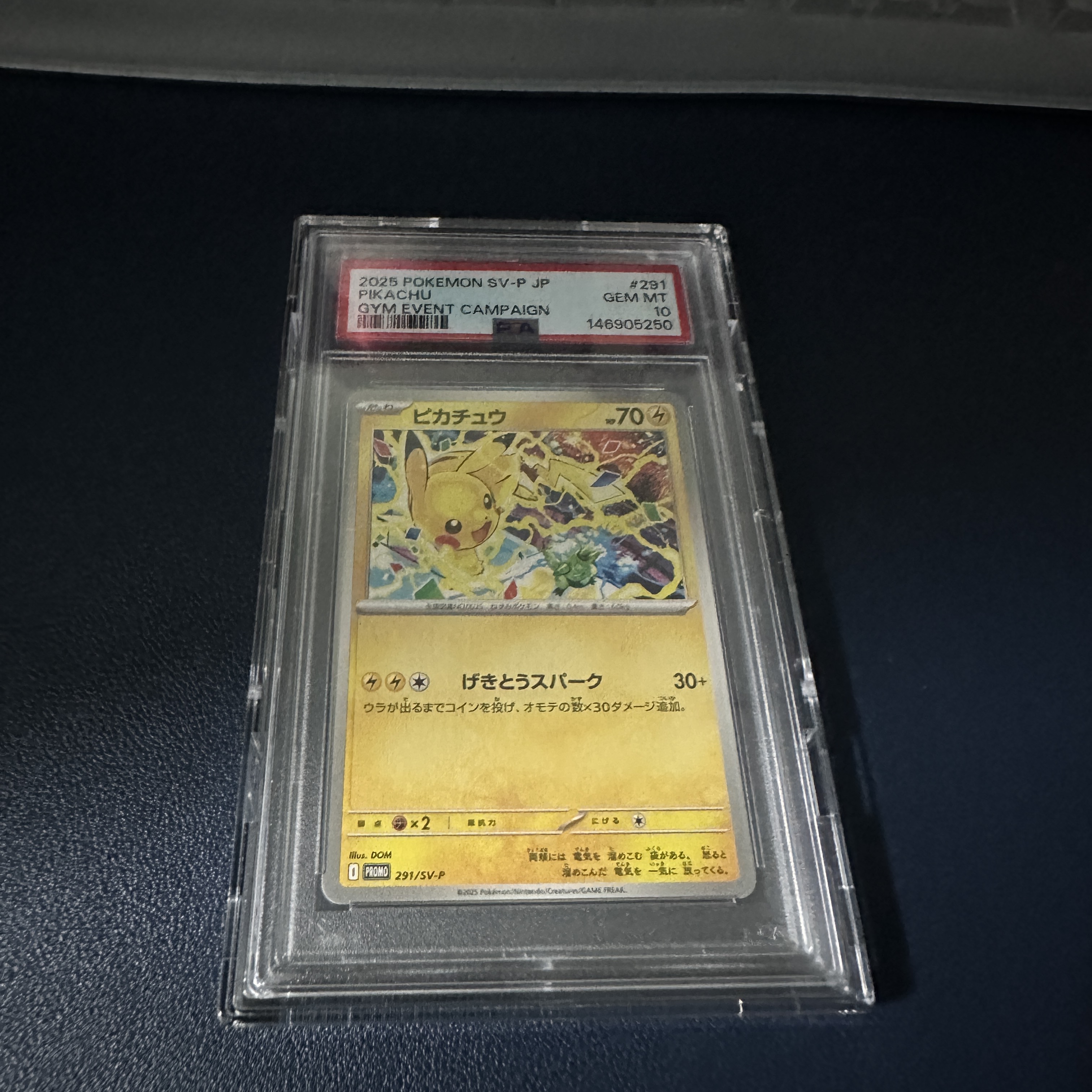 Pokemon TCG Pikachu P Scarlet & Violet Promos (Japanese Ver.) 착용 스타일