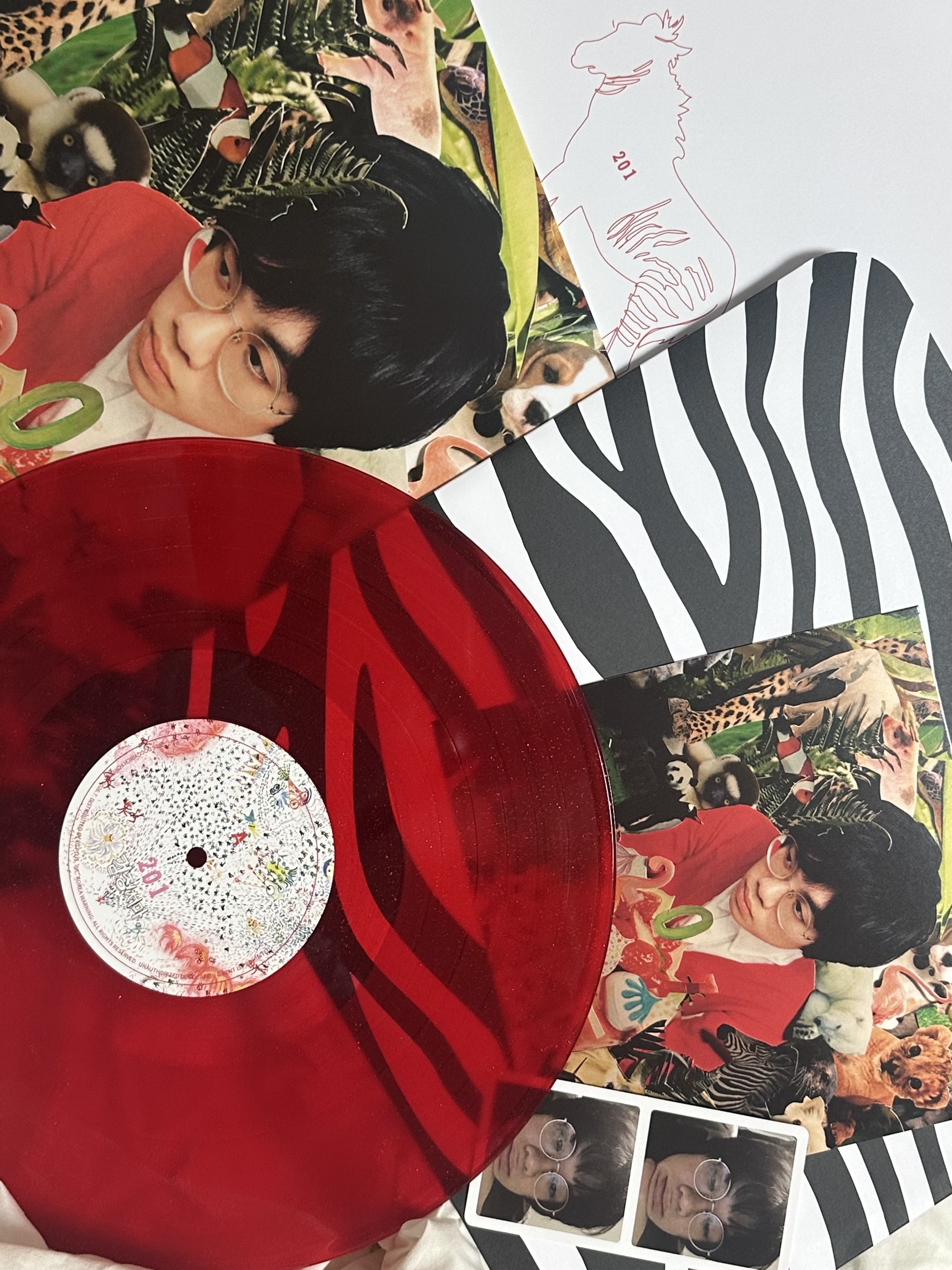 The Black Skirts 1st Album 201 LP Red Glitter 착용 스타일