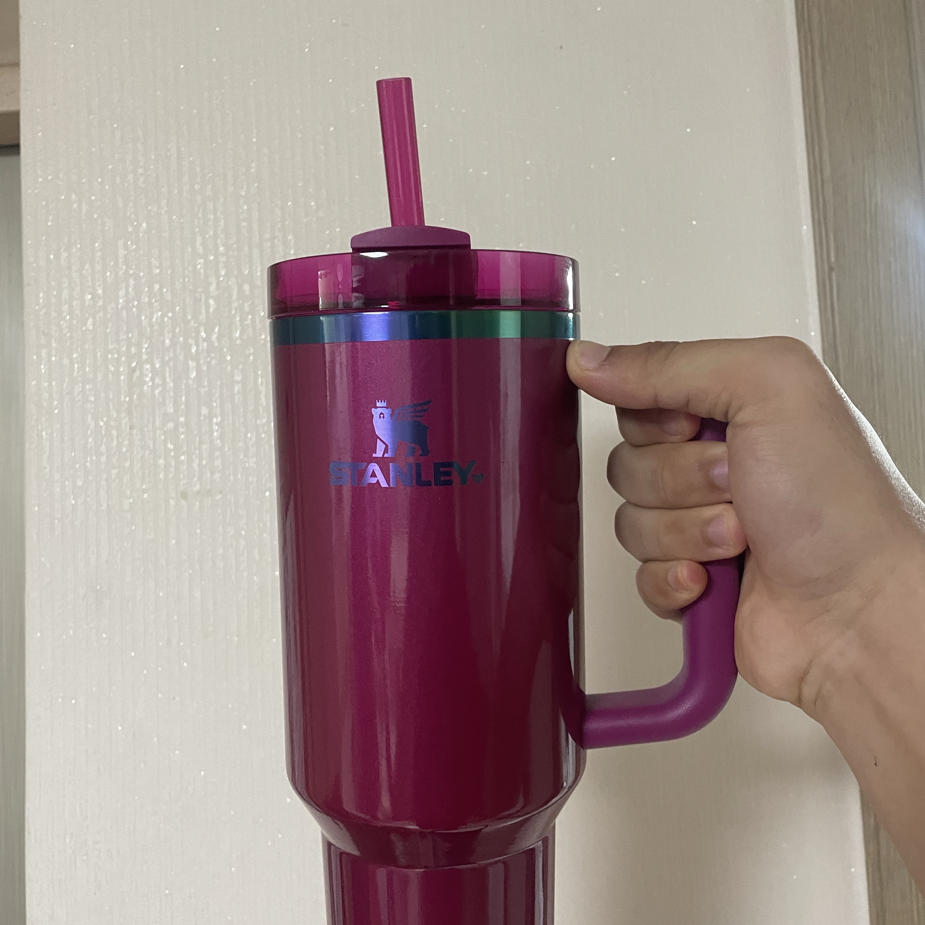 Stanley The Valentine's Day Quencher H2.0 Flowstate Tumbler 40 oz. Berry Truffle 착용 스타일