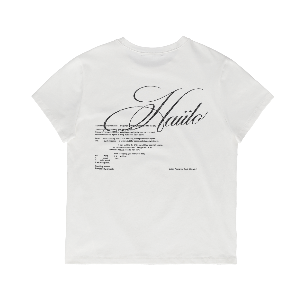 헤일로 시티 마일 티 라벨 화이트(HAiiLO City Mile Tee Label White) - 2