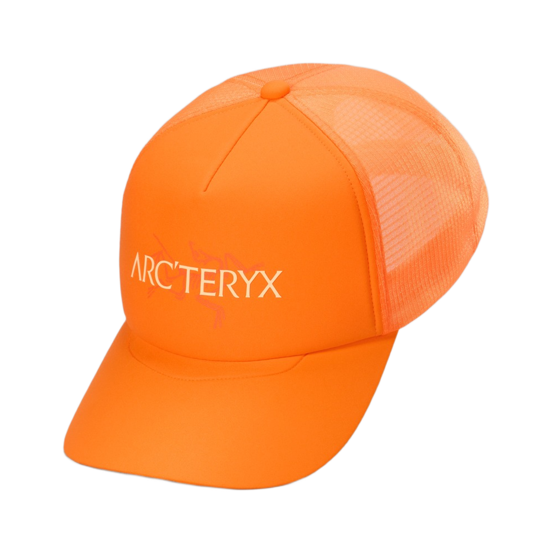 9488 Arc'teryx Bird Word Trucker Hat Verve Luminary