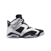 Jordan 6 Black and White