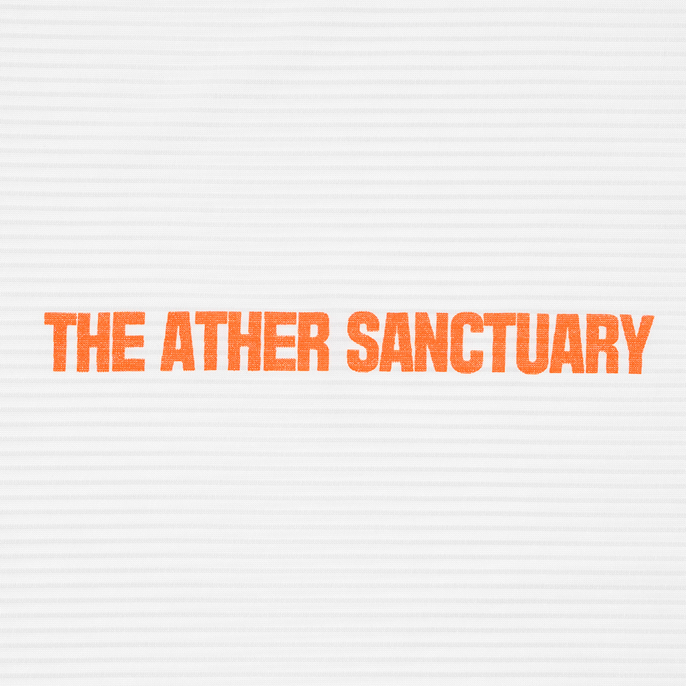 디아더생츄어리 오리진 스트라이프 반팔 티셔츠 화이트(THE ATHER SANCTUARY Origin Stripe S/S Tee White) - 2