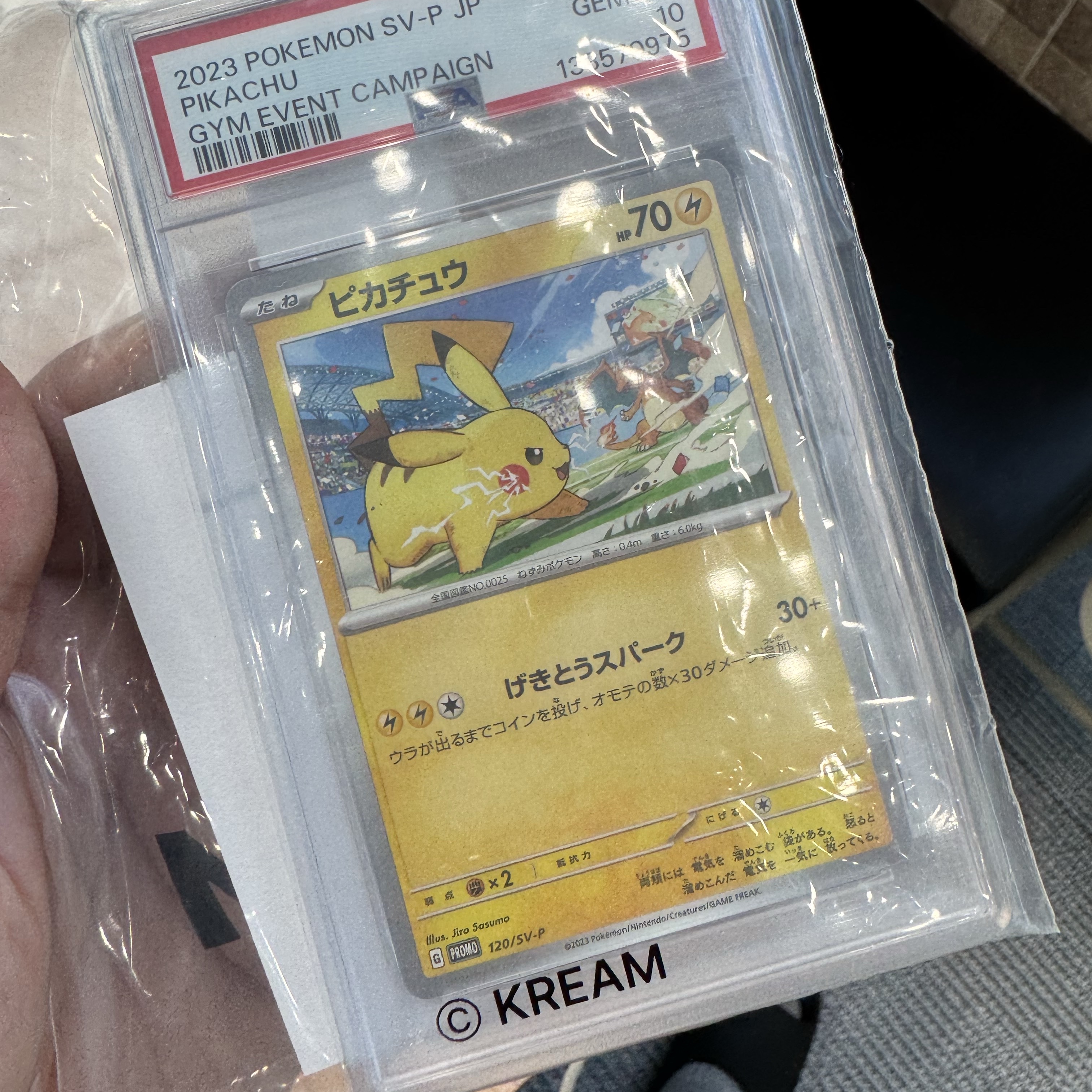 Pokemon TCG Pikachu P Scarlet & Violet Promos (Japanese Ver.) 착용 스타일