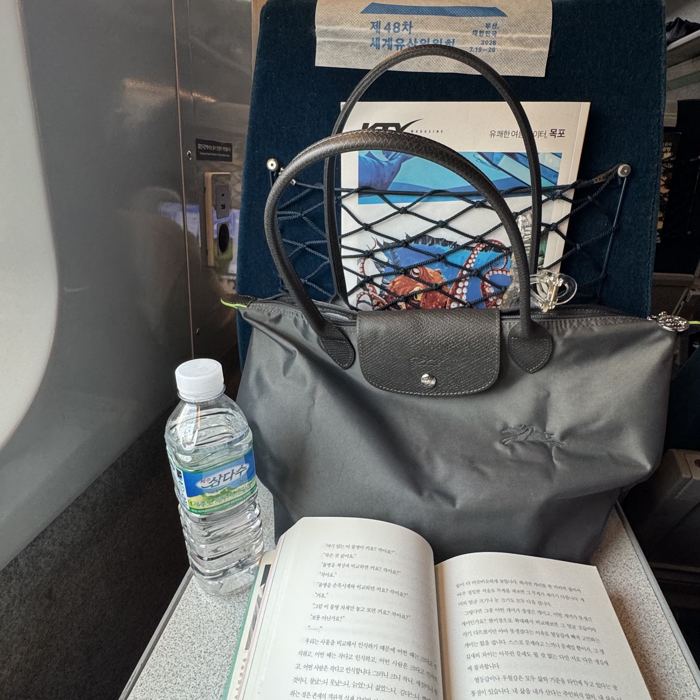 Longchamp Le Pliage Green Tote Bag M Graphite 착용 스타일