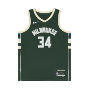 Nike Giannis Antetokounmpo Milwaukee Bucks Icon Edition 2022/23 NBA Swingman Jersey Fir