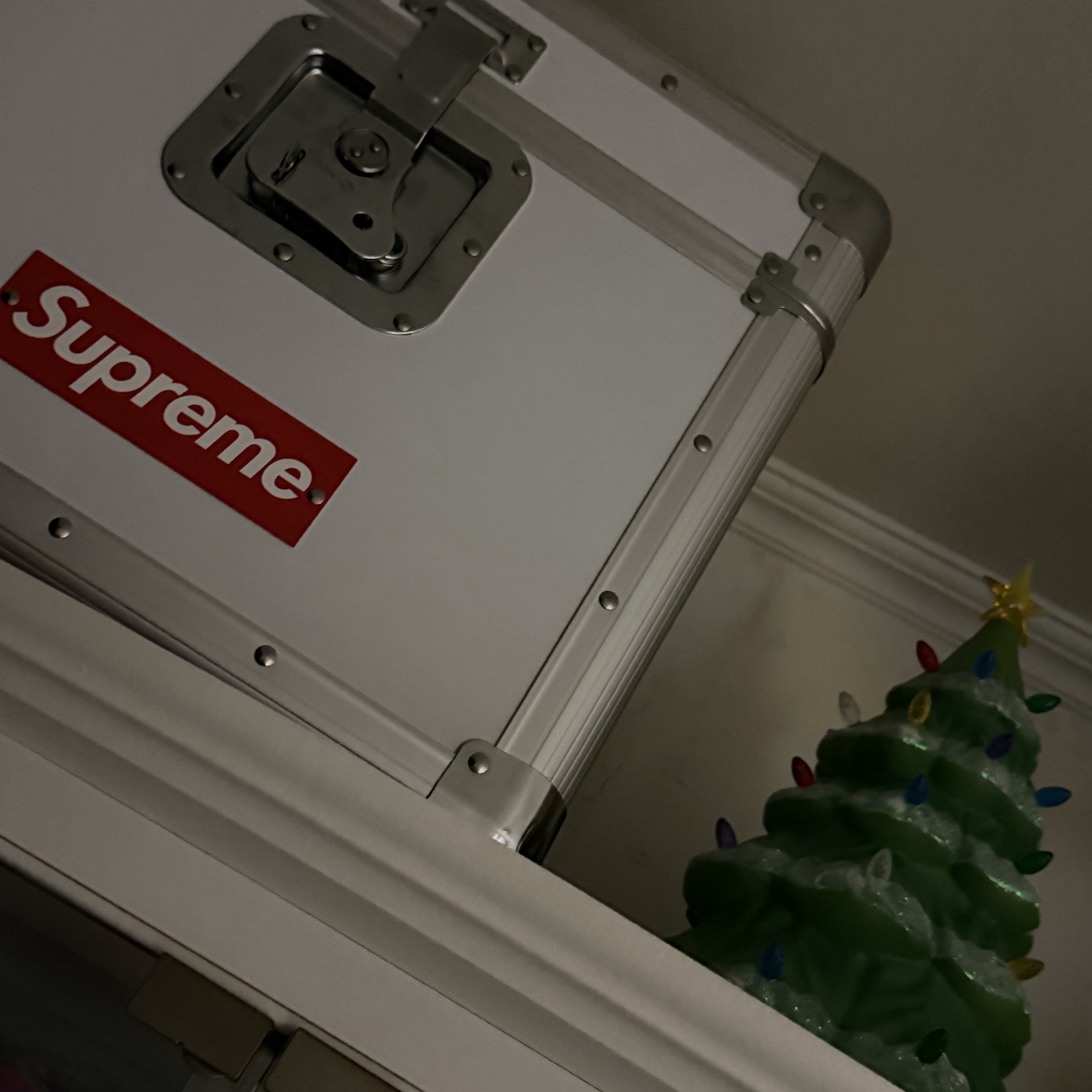 Supreme 15" Holiday Tree Green - 25FW, Supreme x Odyssey Record Case White - 25SS 착용 스타일