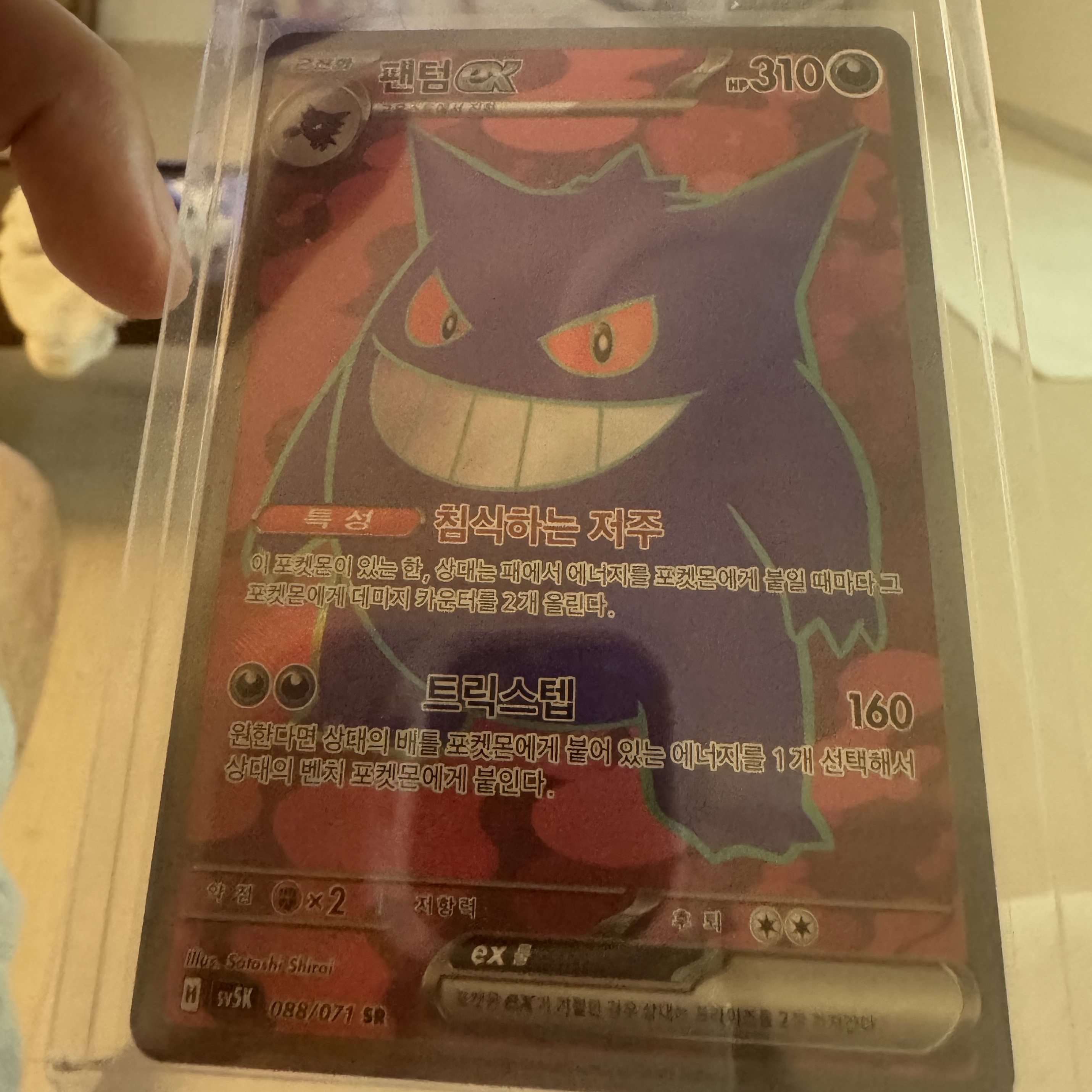 Pokemon TCG Scarlet & Violet Expansion Pack Wild Force Box (Pack of 30/Korean Ver.) 착용 스타일