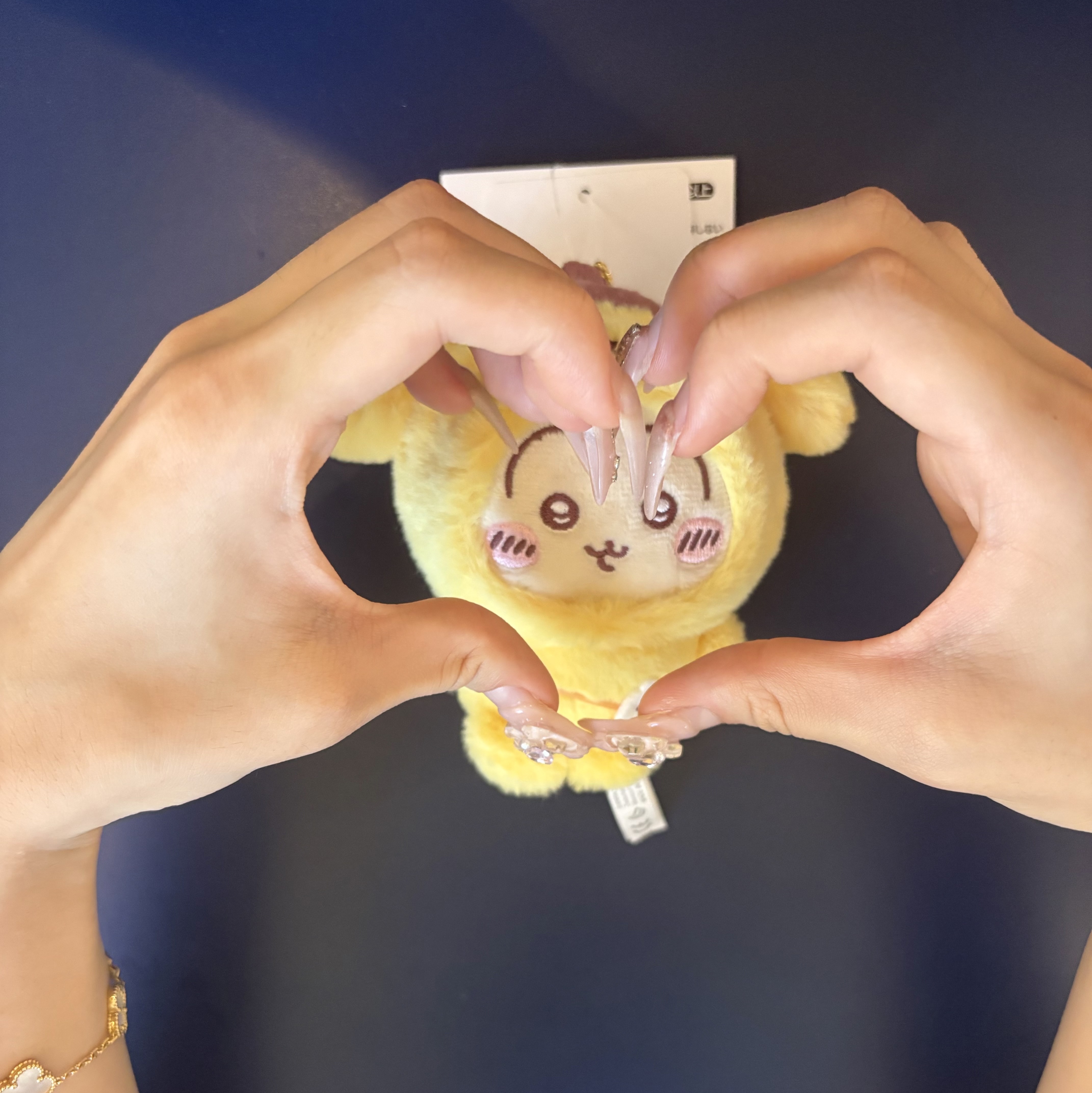 Sanrio x Chiikawa Pompompurin Chiikawa Mascot Holder Usagi 착용 스타일