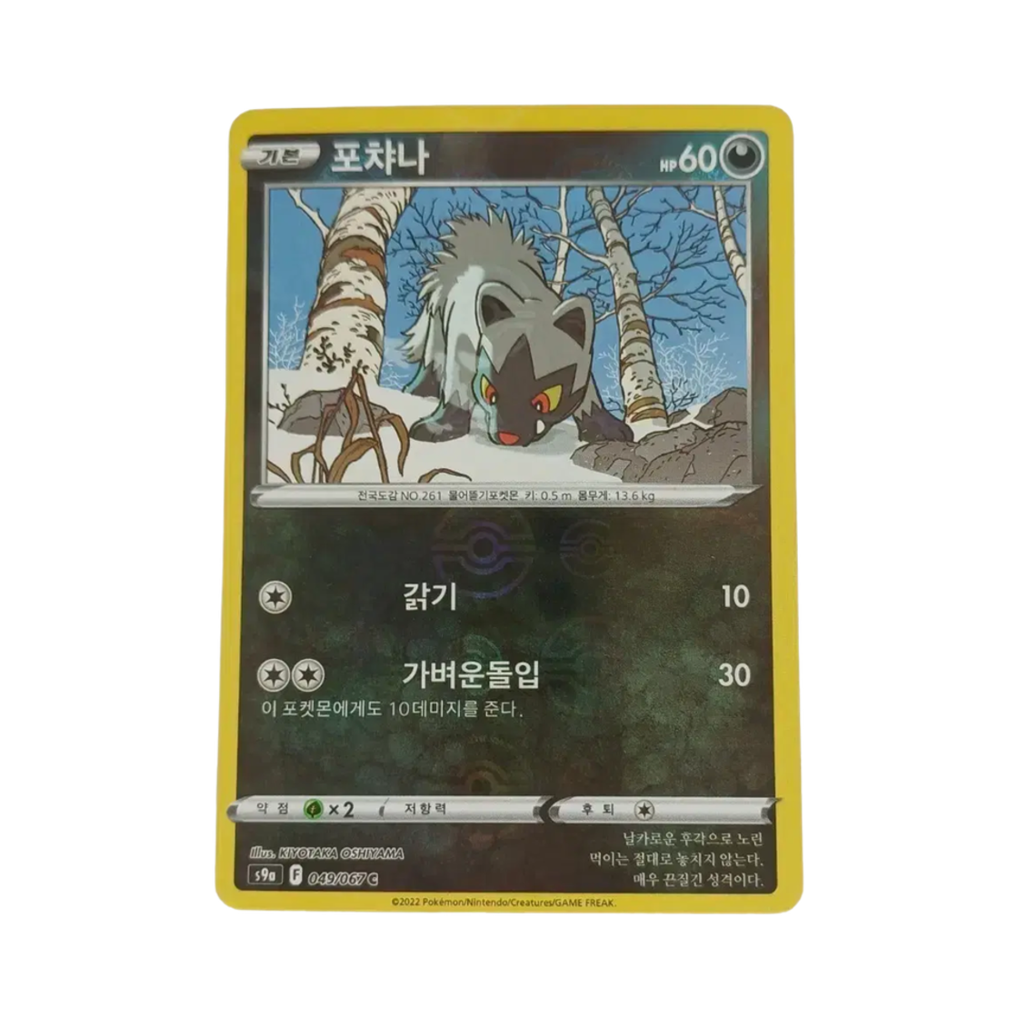 포켓몬 TCG 포챠나 C 미러 배틀리전 (한글판)(Pokemon TCG Poochyena C Mirror Battle Region (Korean Ver.)) - 1