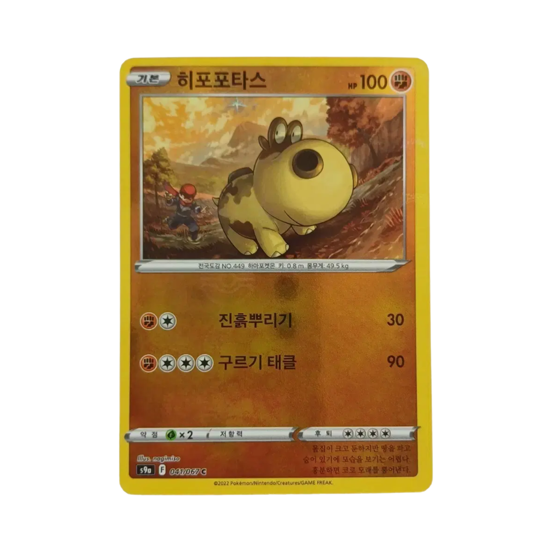 포켓몬 TCG 히포포타스 C 미러 배틀리전 (한글판)(Pokemon TCG Hippopotas C Mirror Battle Region (Korean Ver.)) - 1