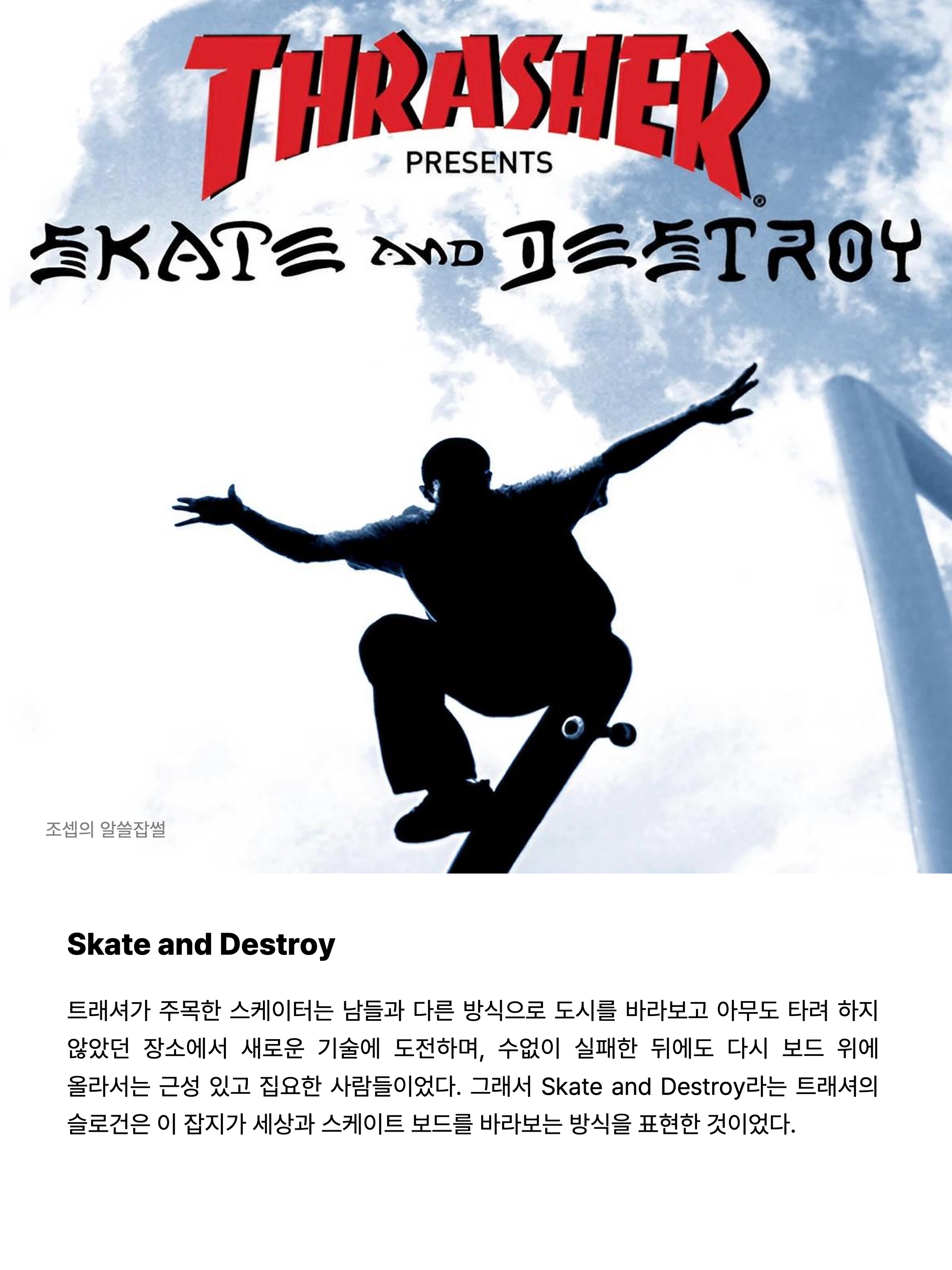 THRASHER Magazine Mesh Sleeveless Black, THRASHER Flame Short Sleeve T-Shirt Dark Navy 착용 스타일 - 5