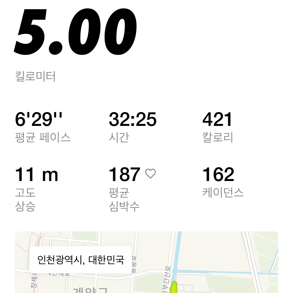 Nike Zoom Fly 6 Pure Platinum Grey Fog 착용 스타일 - 2