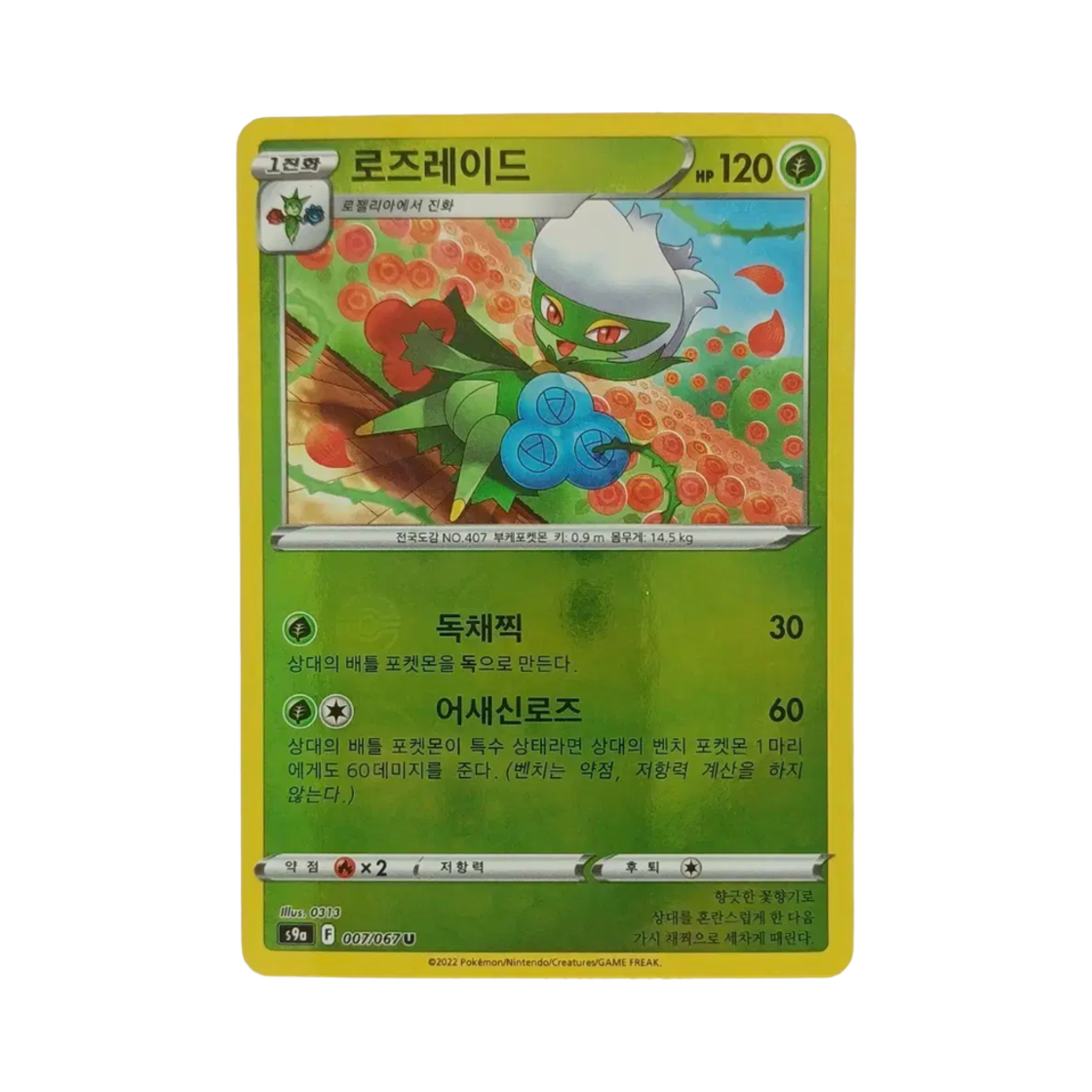 포켓몬 TCG 로즈레이드 U 미러 배틀리전 (한글판)(Pokemon TCG Roserade U Mirror Battle Region (Korean Ver.)) - 1