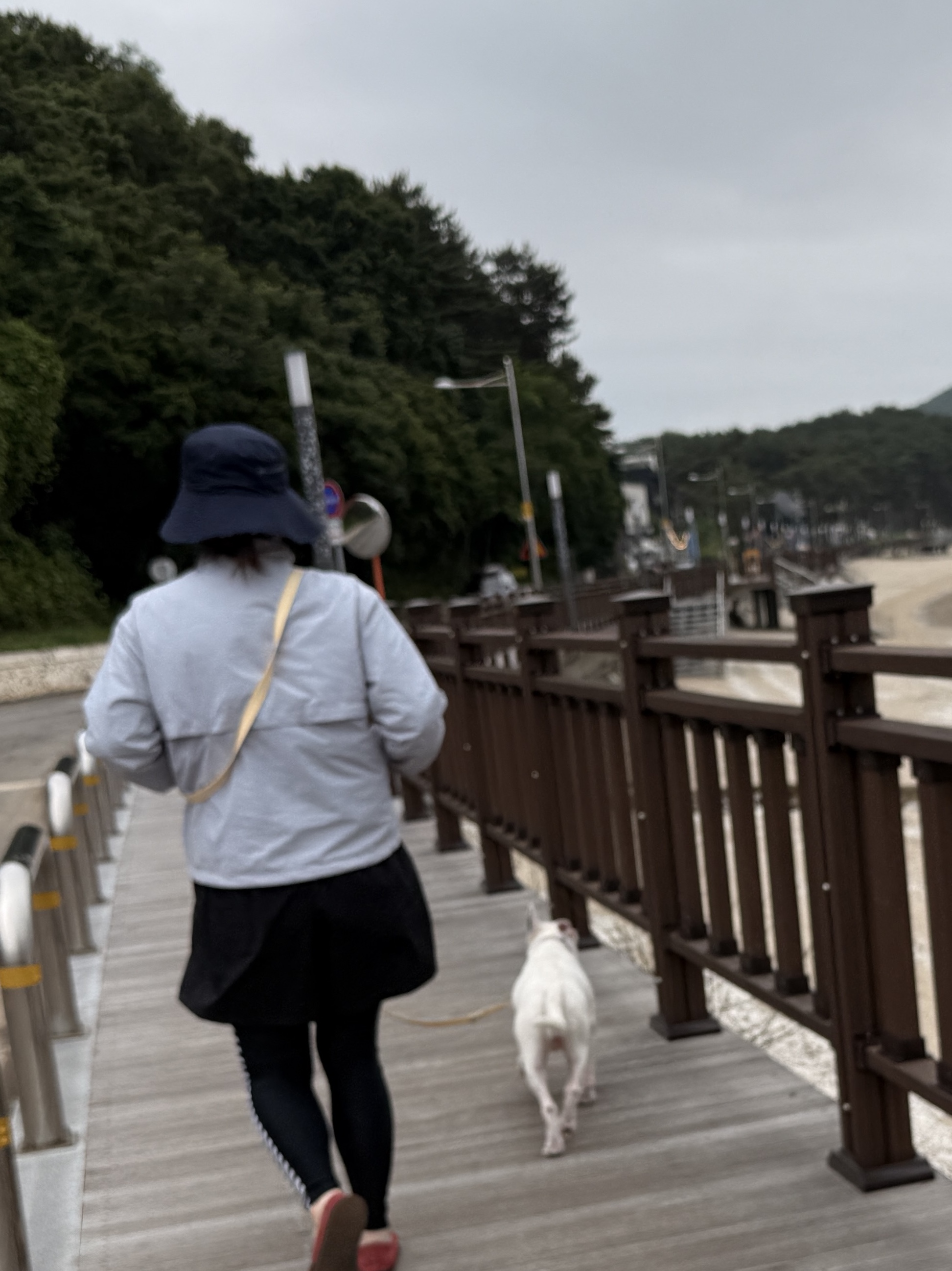 (W) Uniqlo UV Cut Cotton Linen Wide Brim Hat Black, Uniqlo x F.Risso Tucked Short Pants Black 착용 스타일 - 1