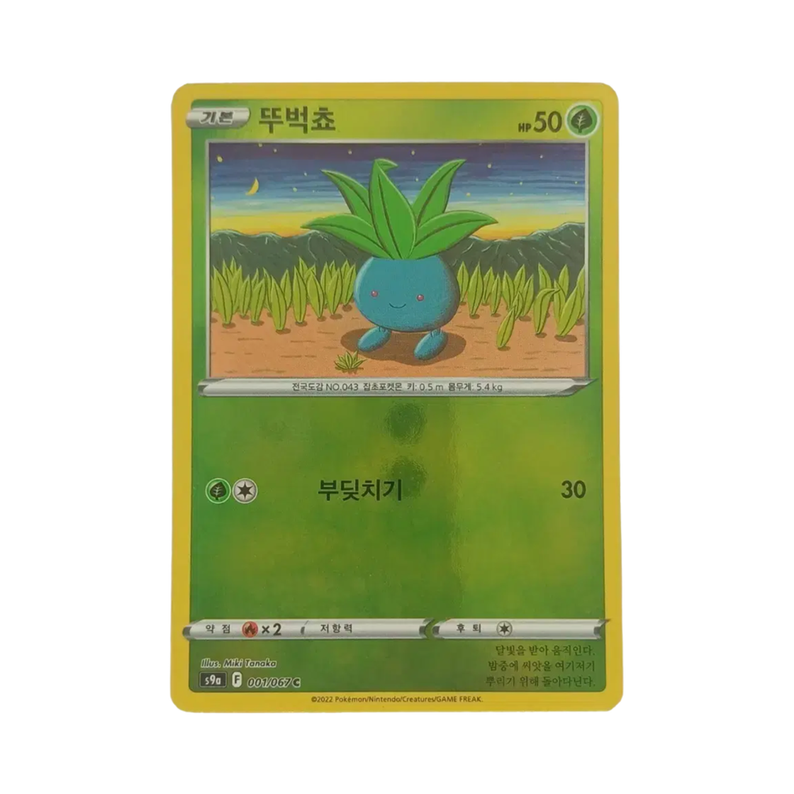 포켓몬 TCG 뚜벅쵸 C 미러 배틀리전 (한글판)(Pokemon TCG Oddish C Mirror Battle Region (Korean Ver.)) - 1