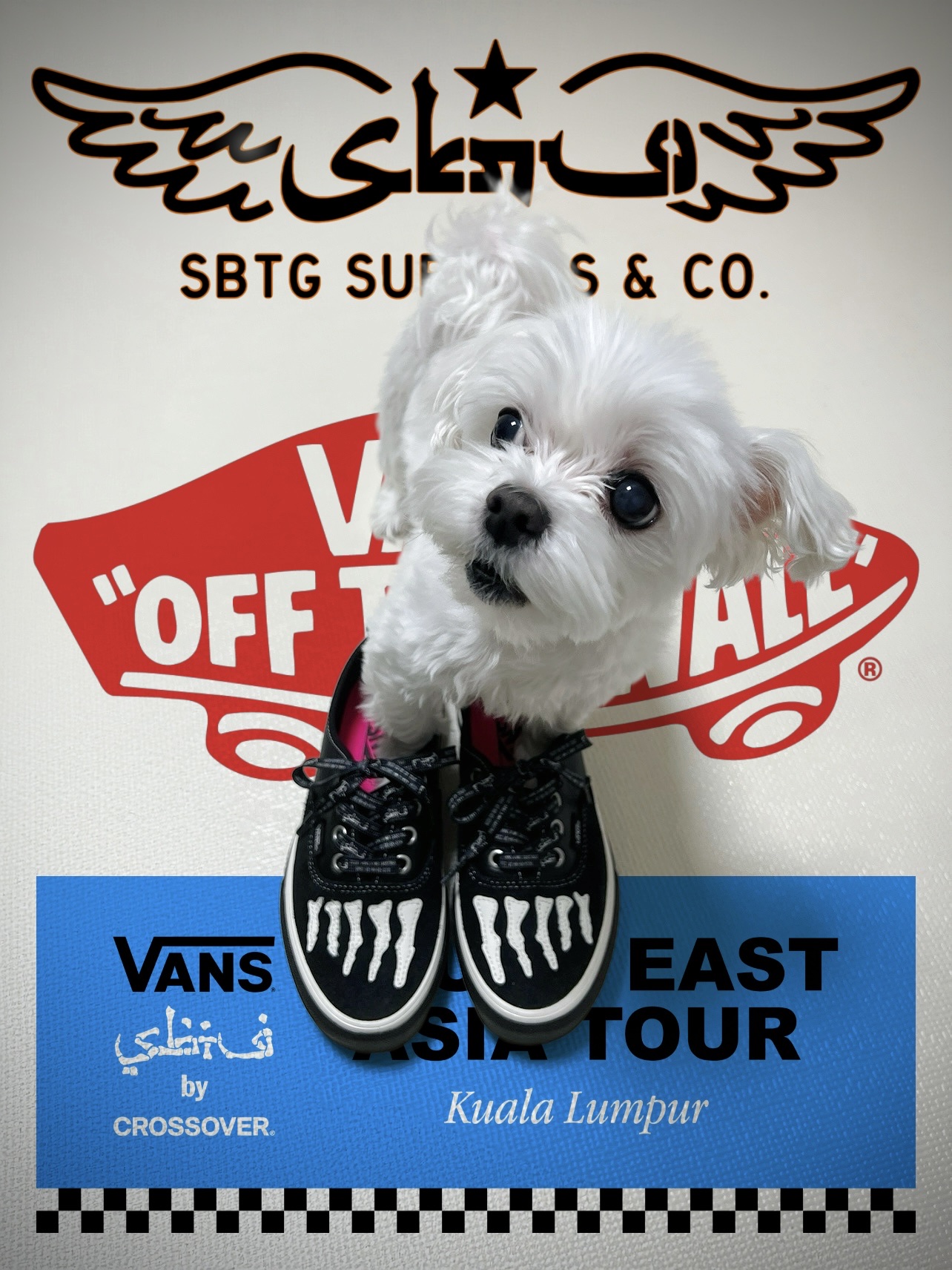 Vans x Mark SBTG Authentic Black 착용 스타일 - 1