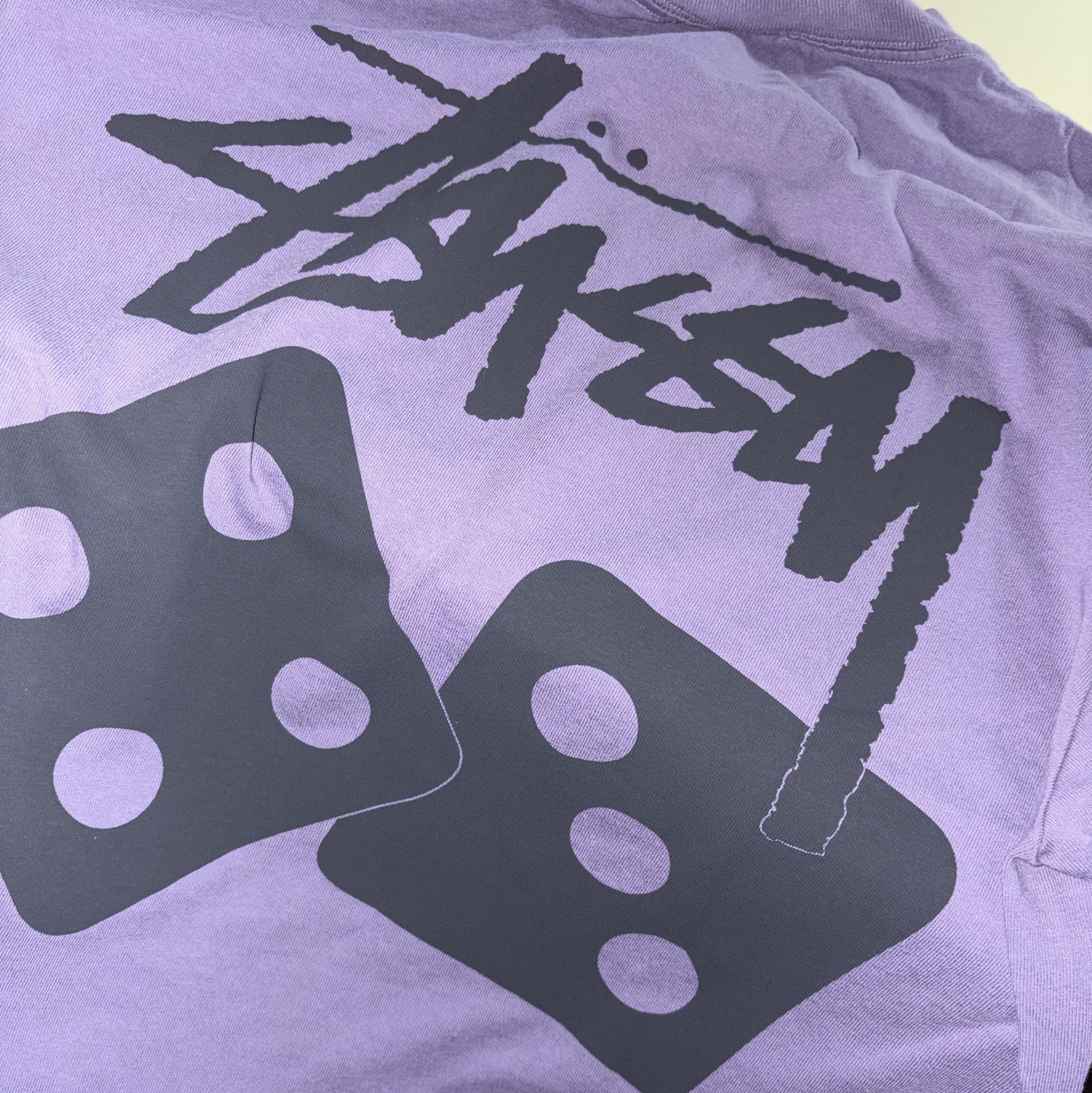 Stussy Pigment Dyed Dice T-Shirt Grape 착용 스타일 - 1