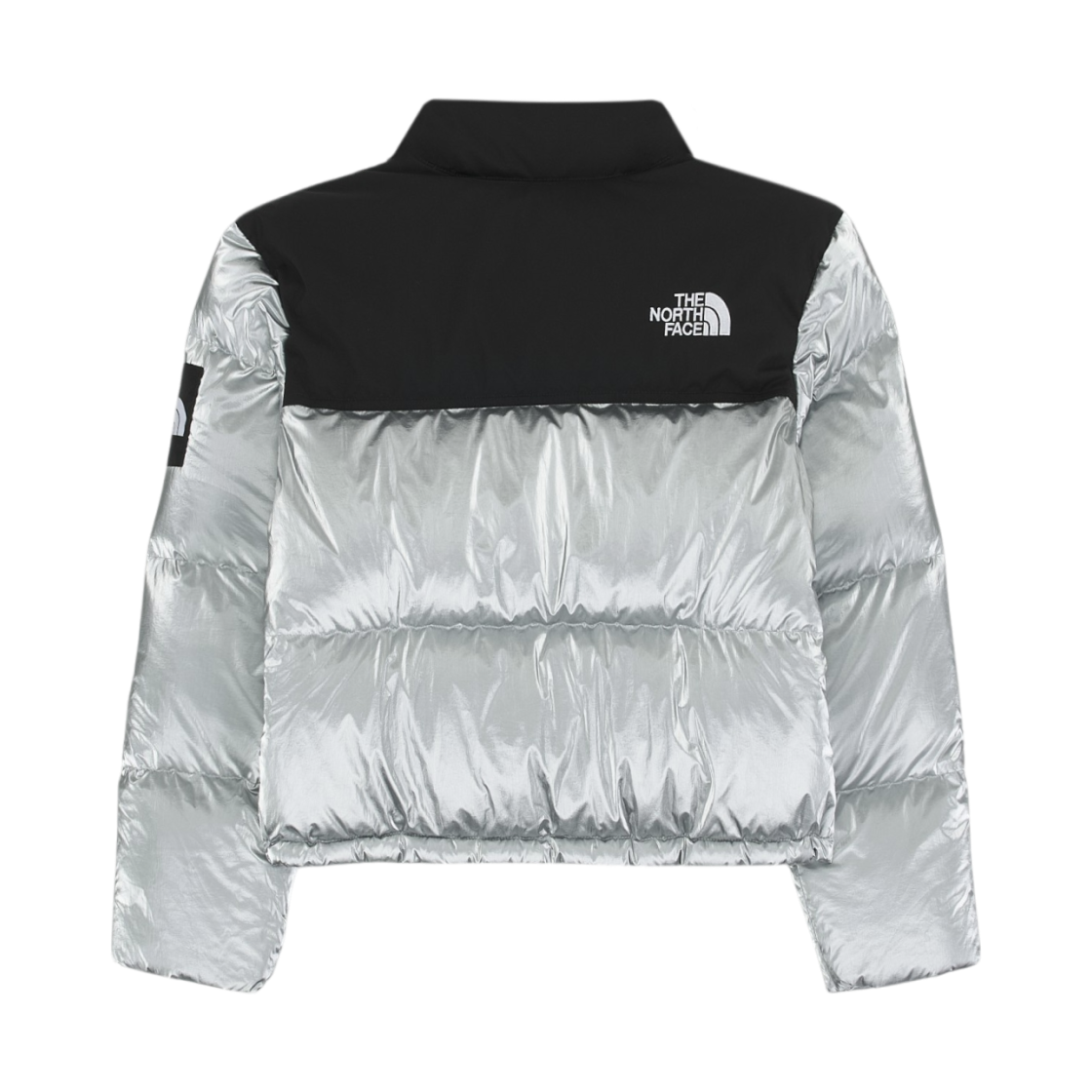 (W) 노스페이스 화이트 라벨 노벨티 눕시 다운 자켓 SE 실버((W) The North Face White Label Novelty Nuptse Down Jacket SE Silver) - 2