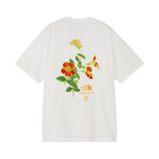 썸네일 5