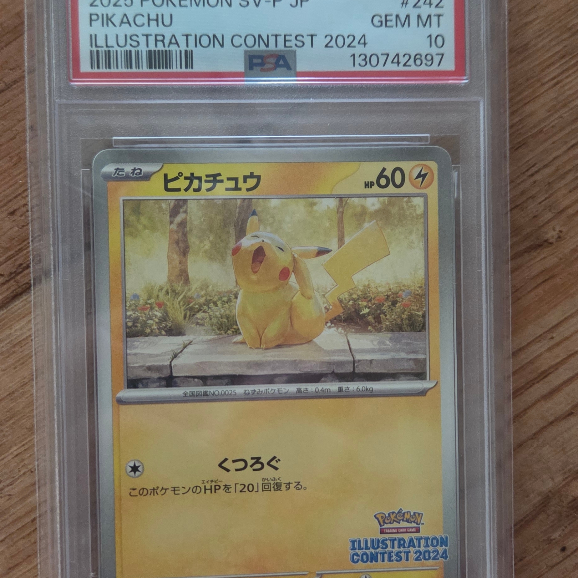 Pokemon TCG Pikachu P Scarlet & Violet Promos (Japanese Ver.) 착용 스타일
