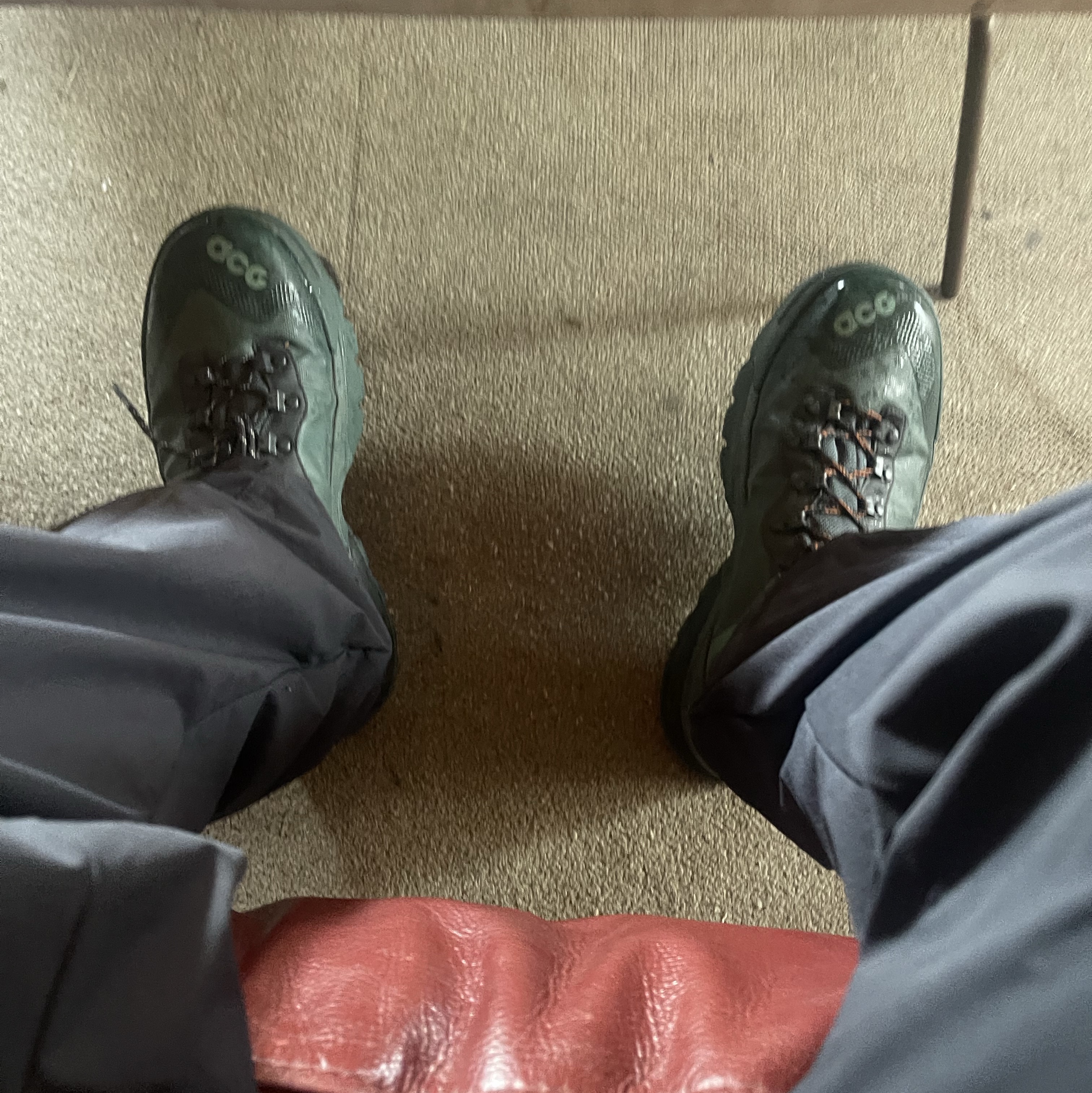 Nike ACG Air Zoom Gaiadome Gore-Tex Vintage Green 착용 스타일 - 1