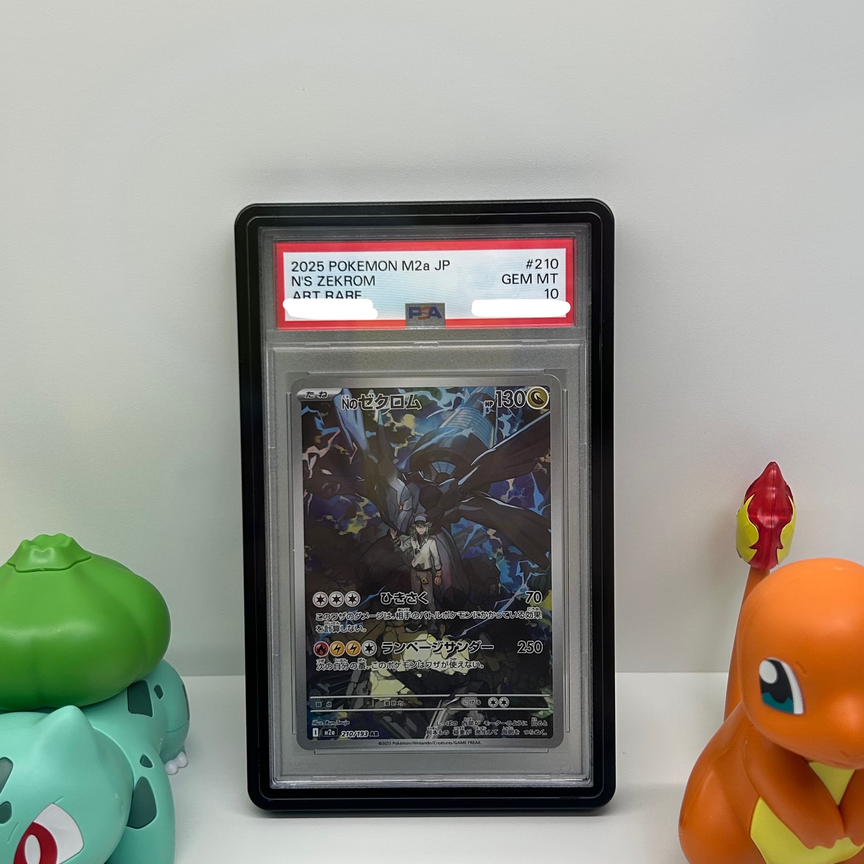Pokemon TCG N's Zekrom AR Mega Dream ex (Japanese Ver.) 착용 스타일
