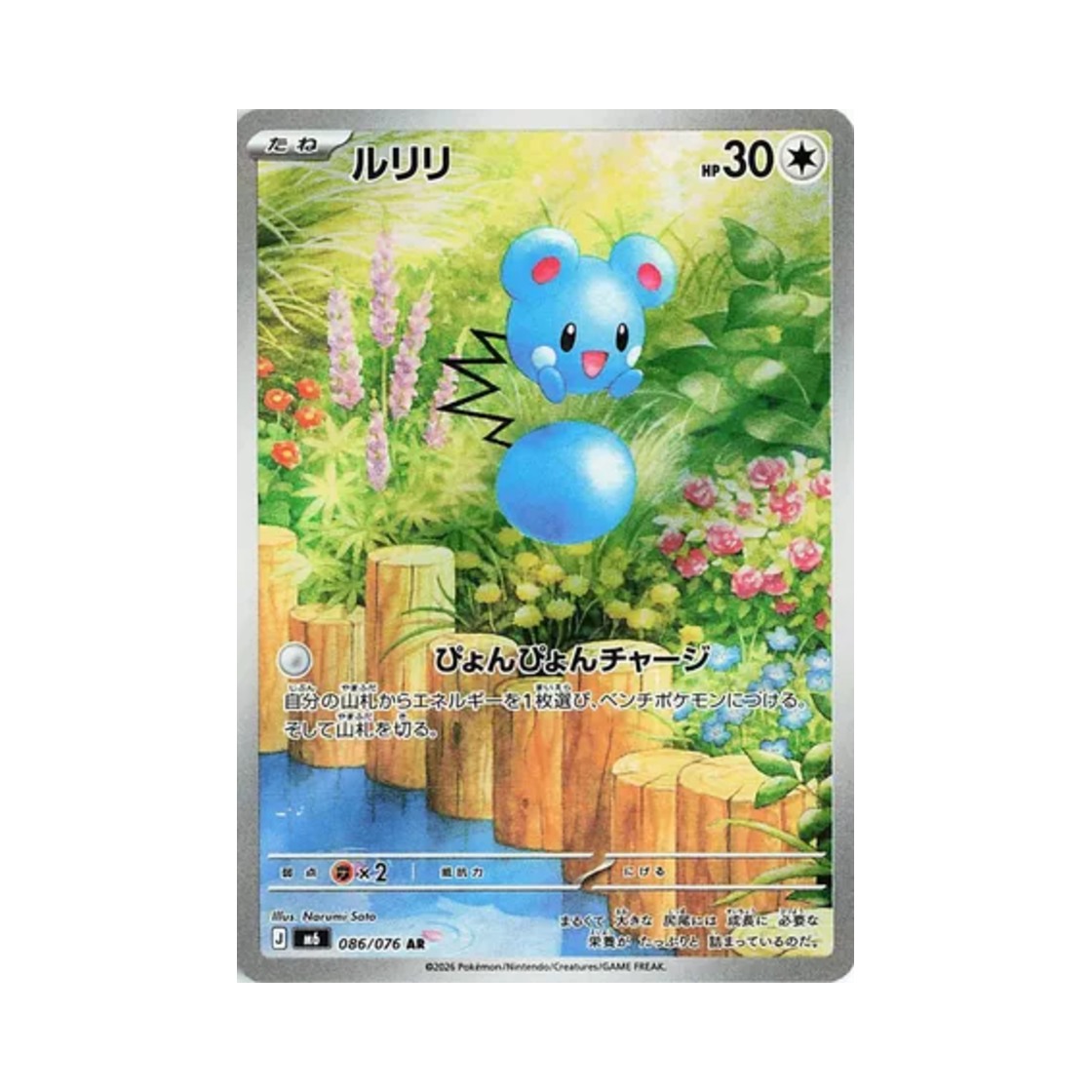 포켓몬 TCG 루리리 AR 스톰에메랄다 (일어판)(Pokemon TCG Azurill AR Storm Emeralda (Japanese Ver.))
