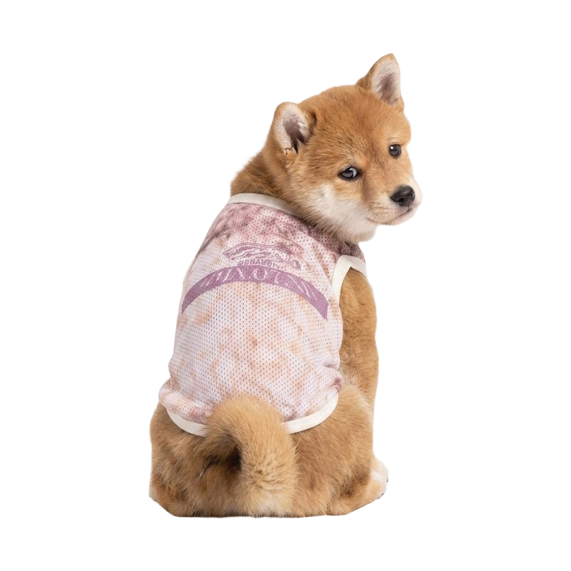 BSRPET26SL003 Bsrabbit Graphic Mesh Pet Sleeveless Top Beige