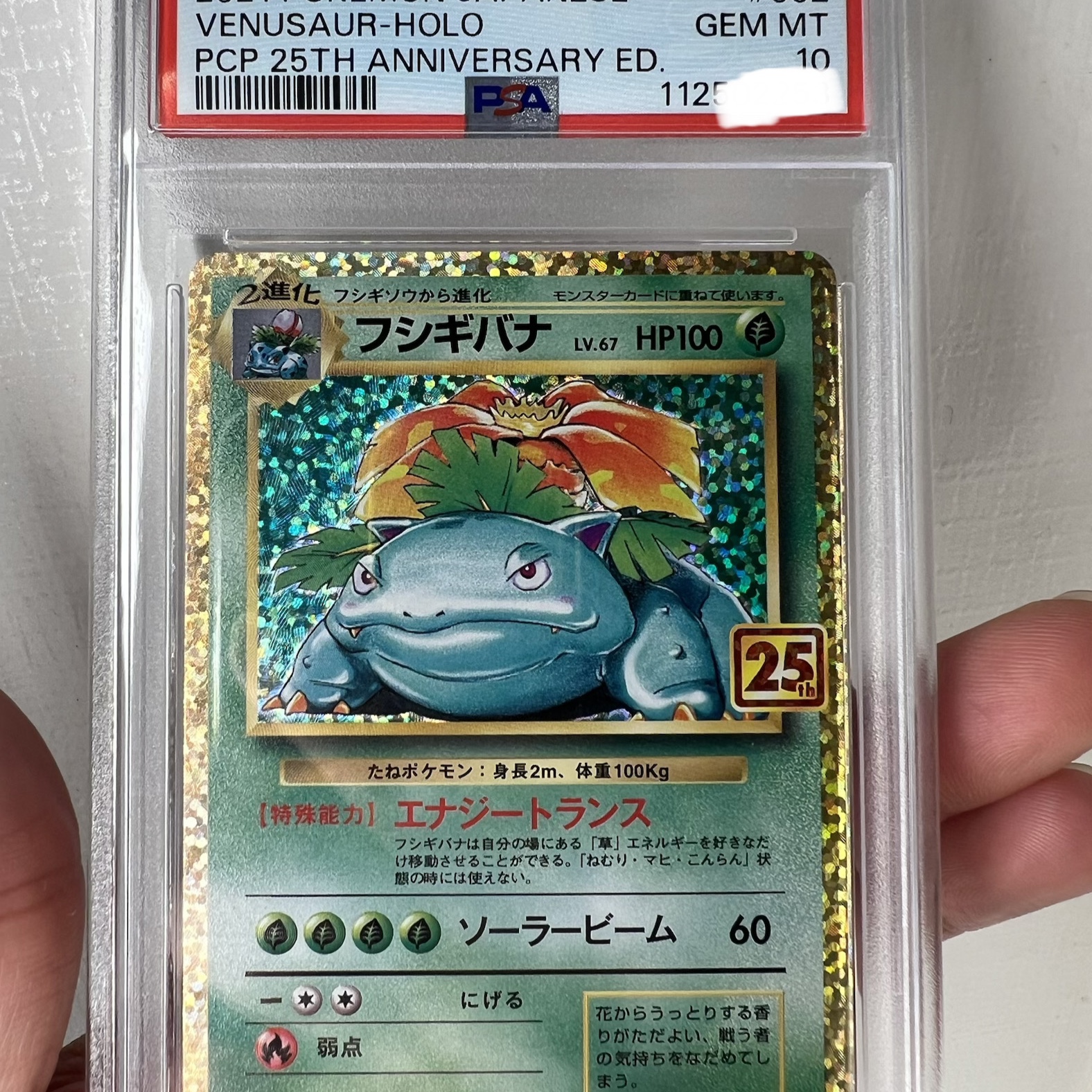Pokemon TCG Venusaur P Promo Card Pack 25Th Anniversary Edition (Japanese Ver.) 착용 스타일