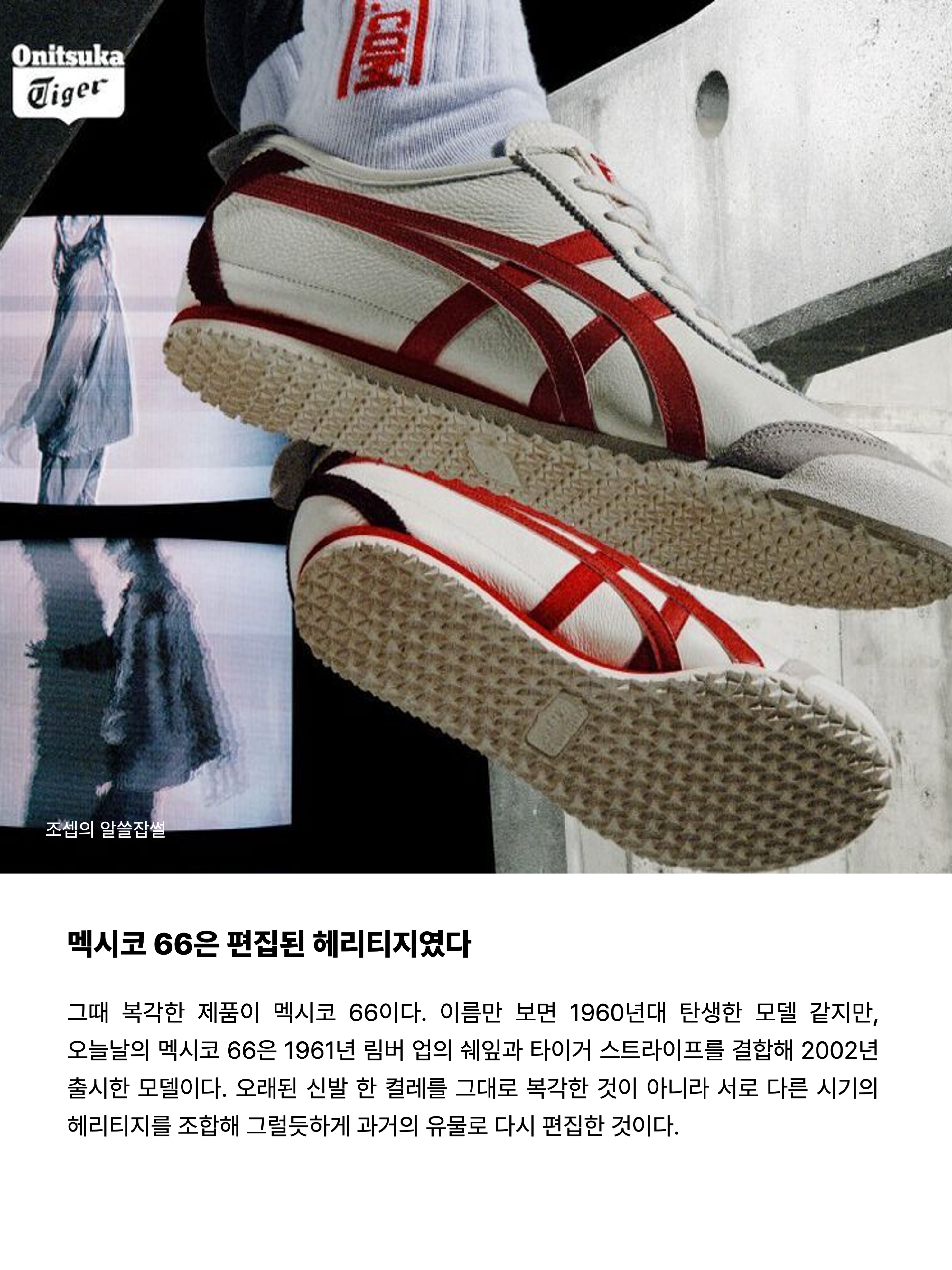 오니츠카 타이거 멕시코 66 옐로우 블랙, 오니츠카 타이거 멕시코 66 디럭스 타이치 옐로우 블랙 착용 스타일 - 6
