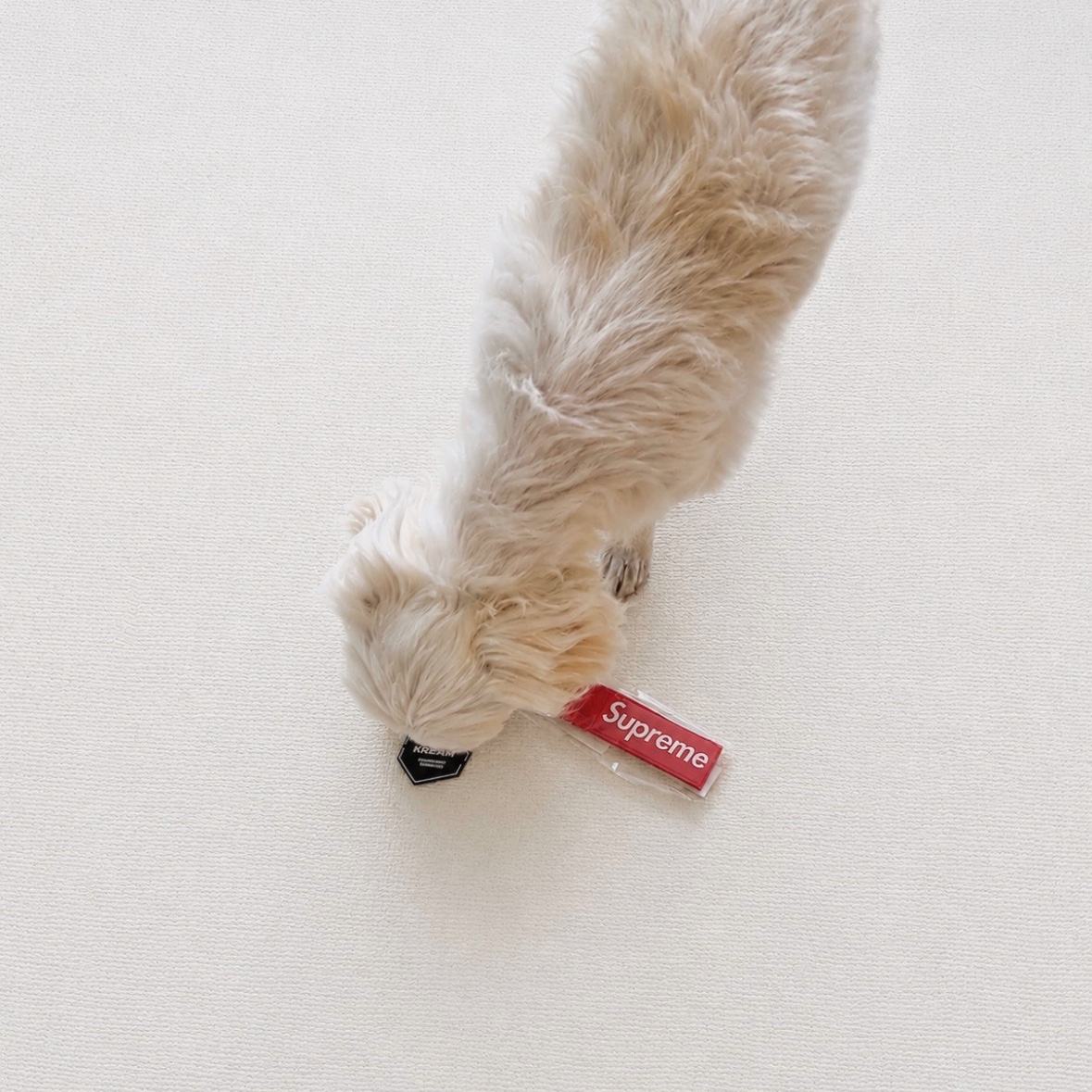 Supreme Webbing Keychain Red - 26SS 착용 스타일