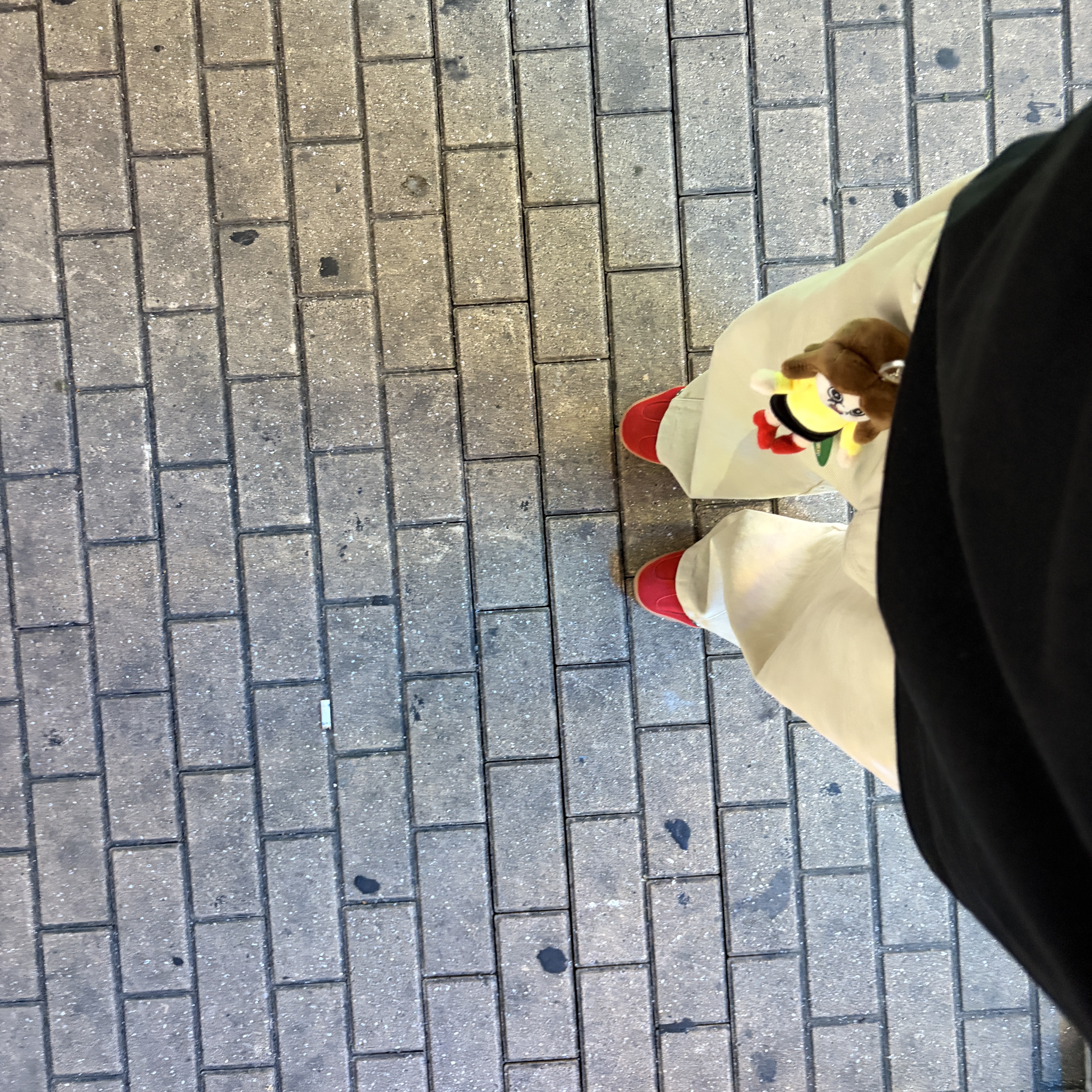 Adidas Gazelle Indoor Better Scarlet Cloud White 착용 스타일