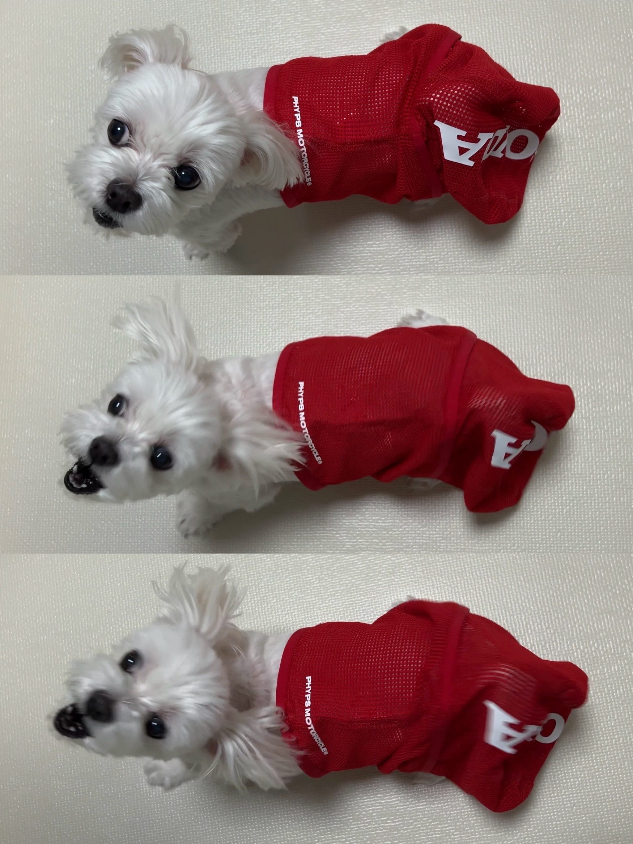 Honda Light Mesh Balaclava_Red 착용 스타일 - 3