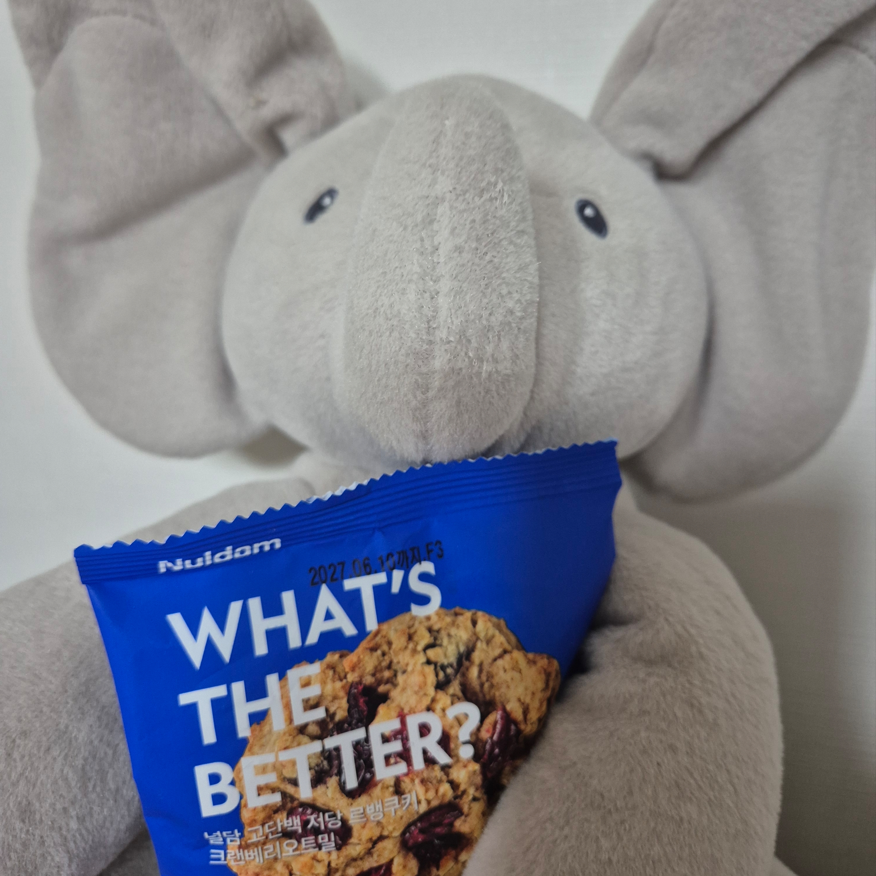 Nuldam Guilt-Free Whole Wheat Levain Cookie Collection 착용 스타일