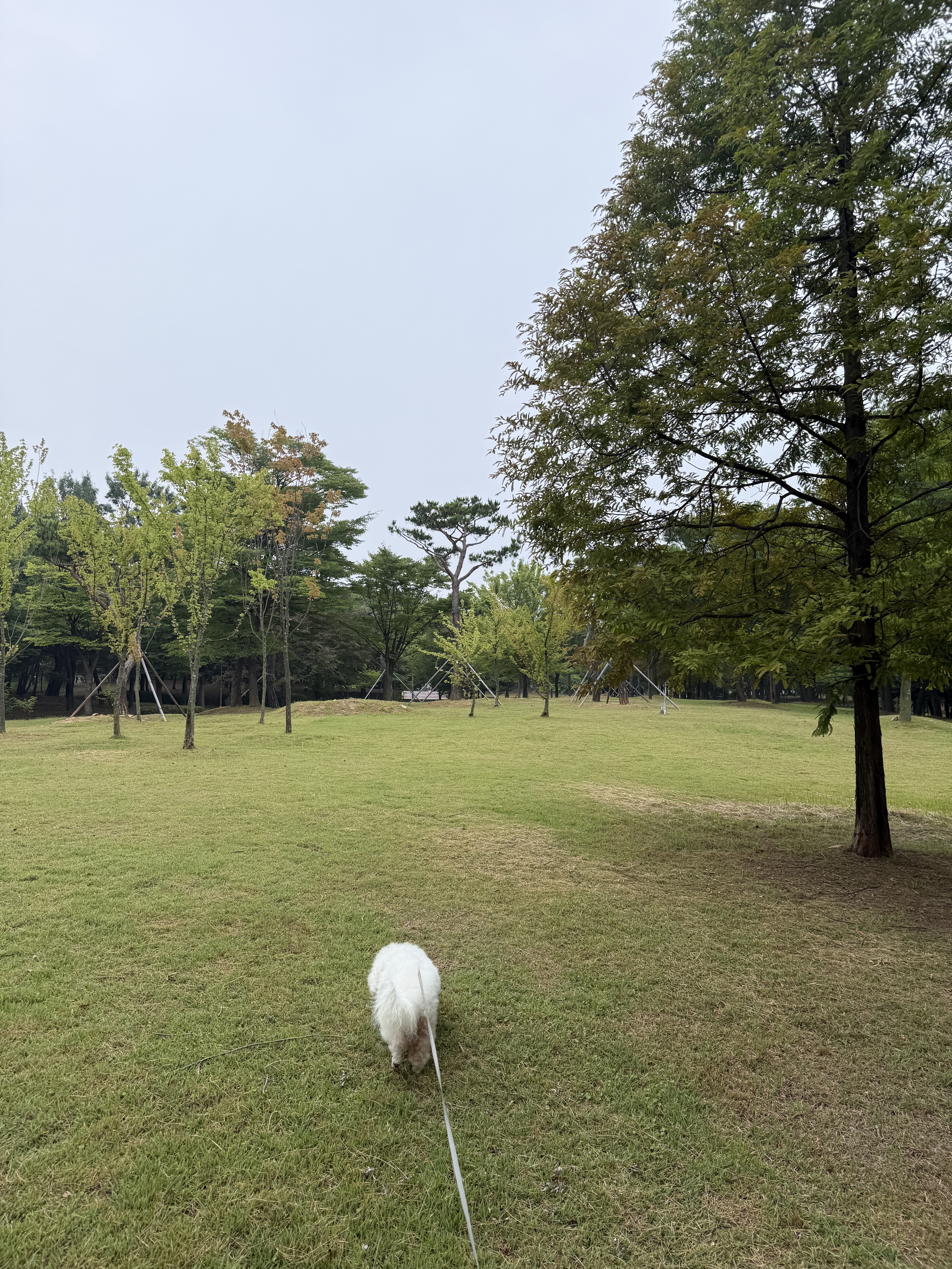 너구리님의 스타일