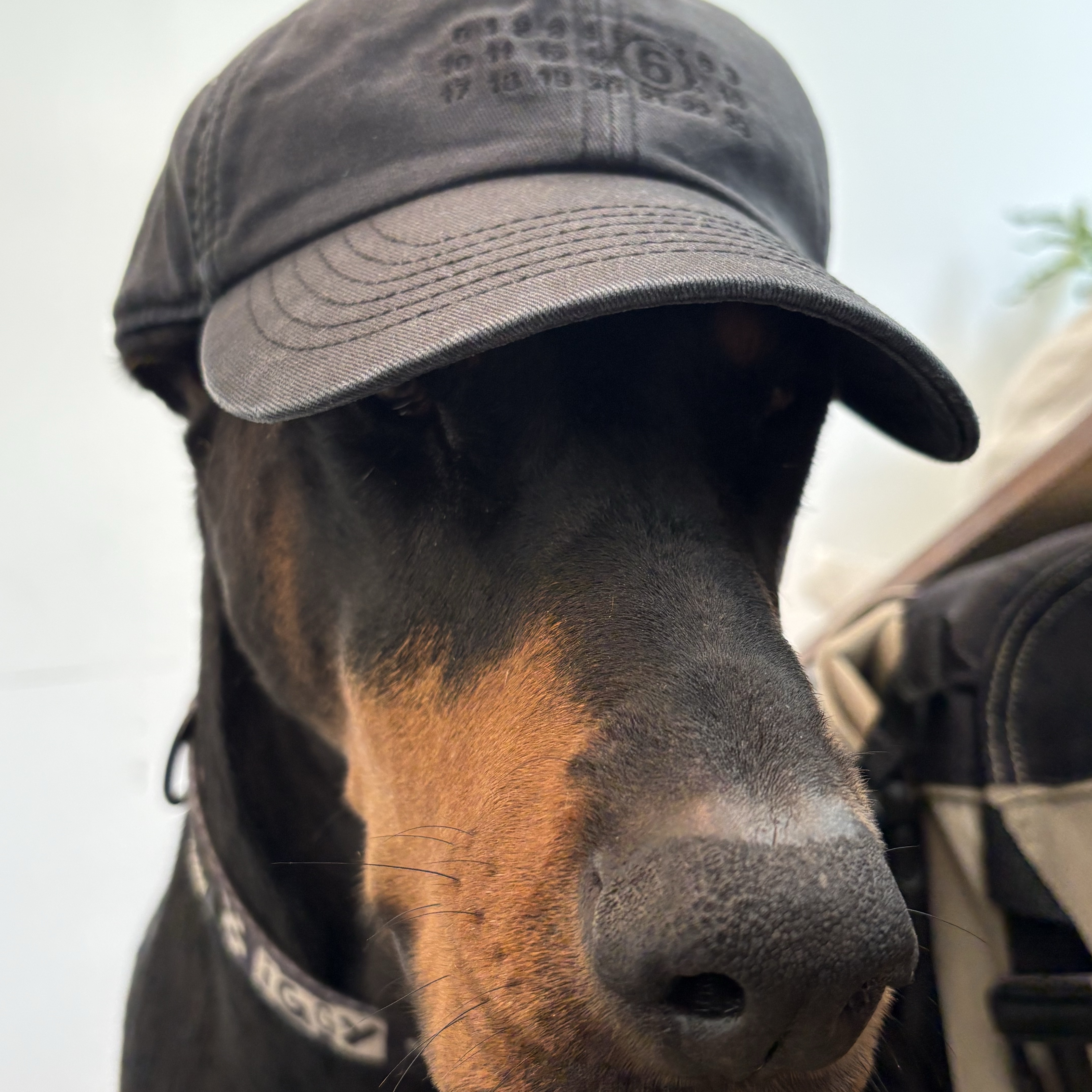 MM6 Maison Margiela Embroidered Baseball Cap Black 착용 스타일