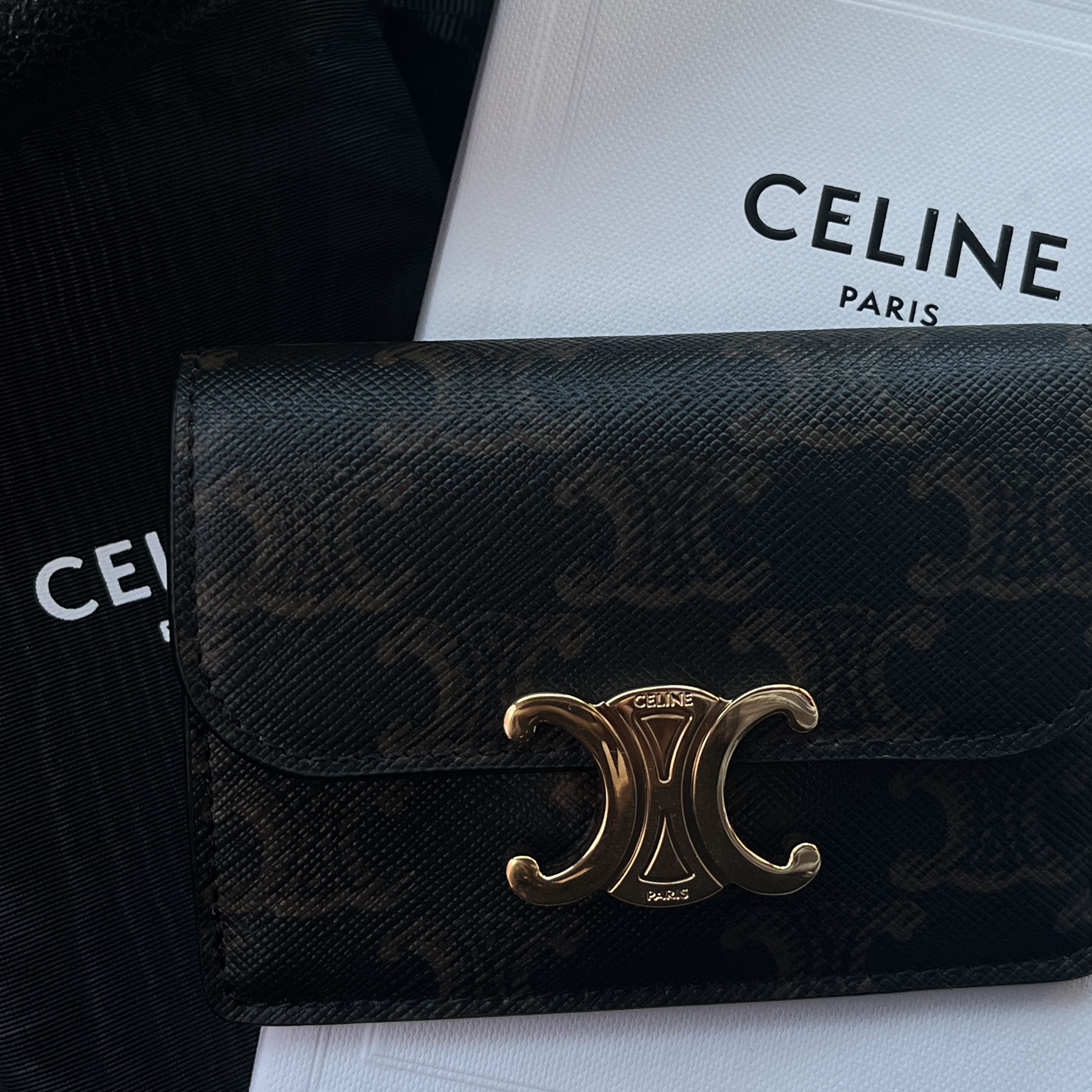 Celine Card Holder with Flap in Triomphe Canvas Tan 착용 스타일
