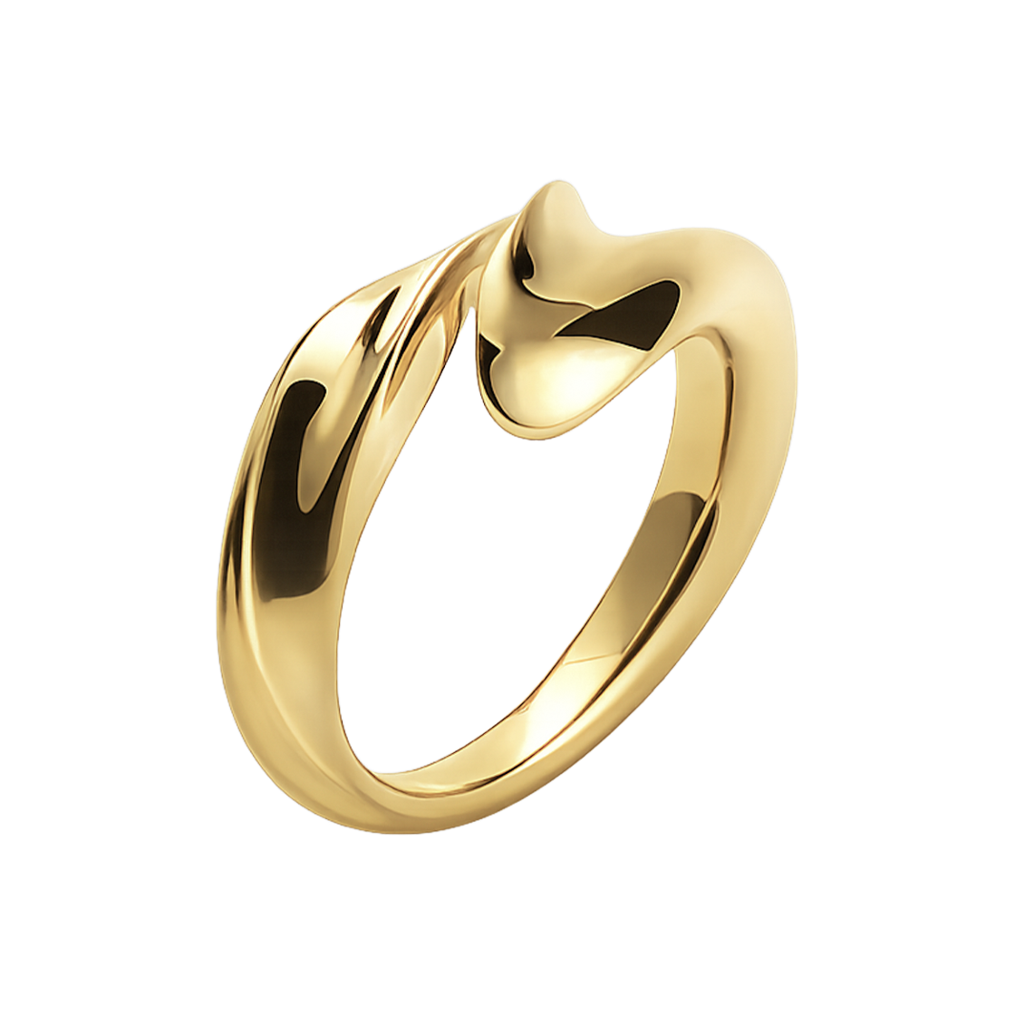 휴스타드 255 립 골드 오픈 링_ 925 스털링 실버(HUSTAD 255 Leaf gold open RING_ 925 Sterling silver) - 3