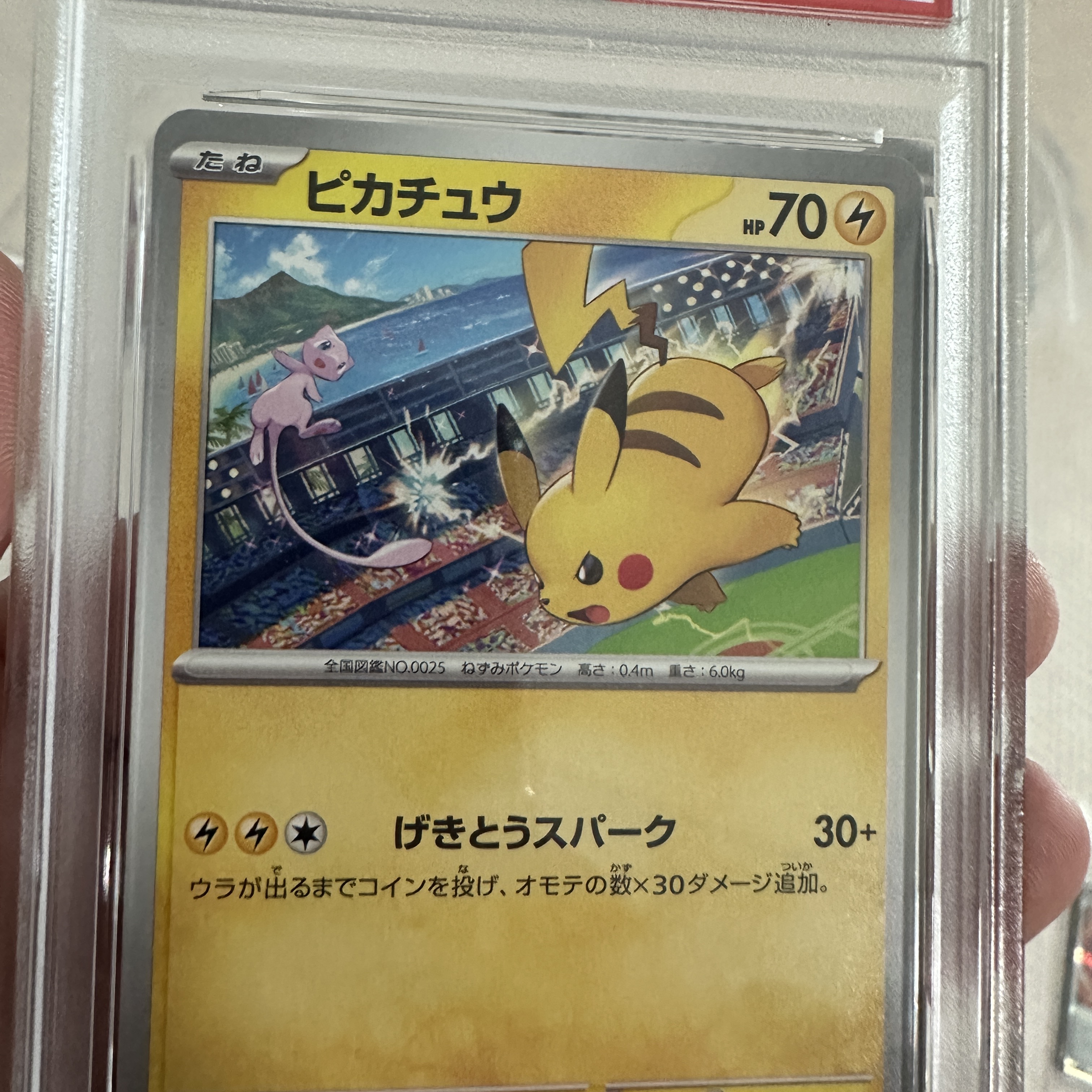 Pokemon TCG Pikachu P Scarlet & Violet Promos (Japanese Ver.) 착용 스타일