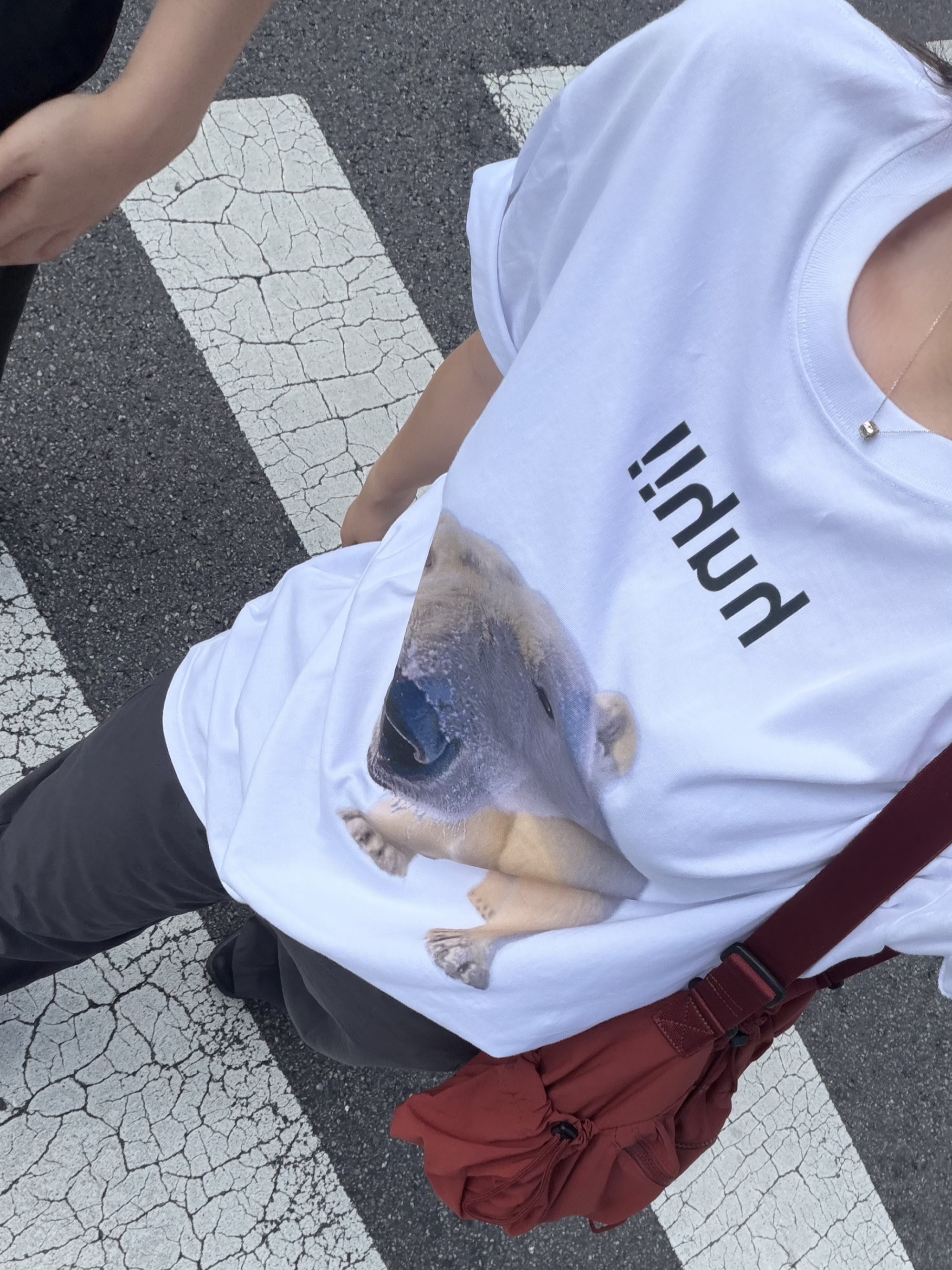 Suade Huh Tee White 착용 스타일 - 1
