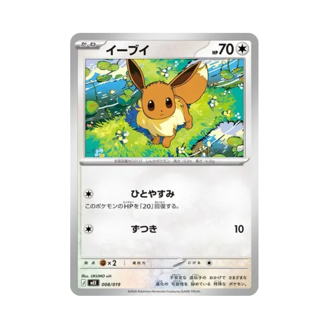 포켓몬 TCG 이브이 이브이 ex 스타터 세트 ex (일어판)(Pokemon TCG Eevee Eevee ex Starter Set ex (Japanese Ver.)) - 1