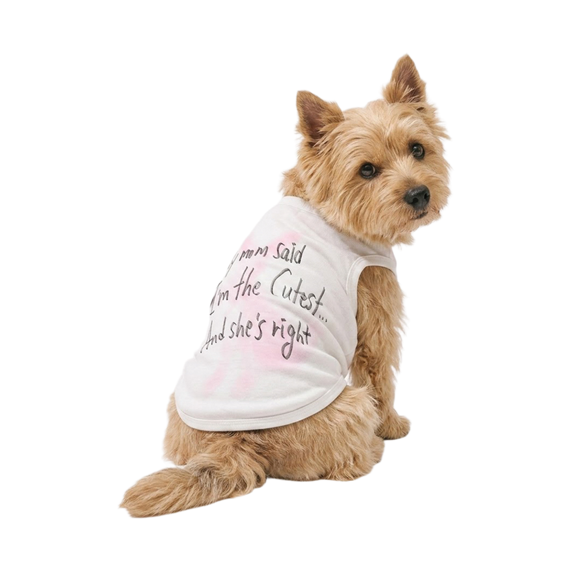 BSRPET26SL008 Bsrabbit I’m The Cutest Pet Sleeveless Top White