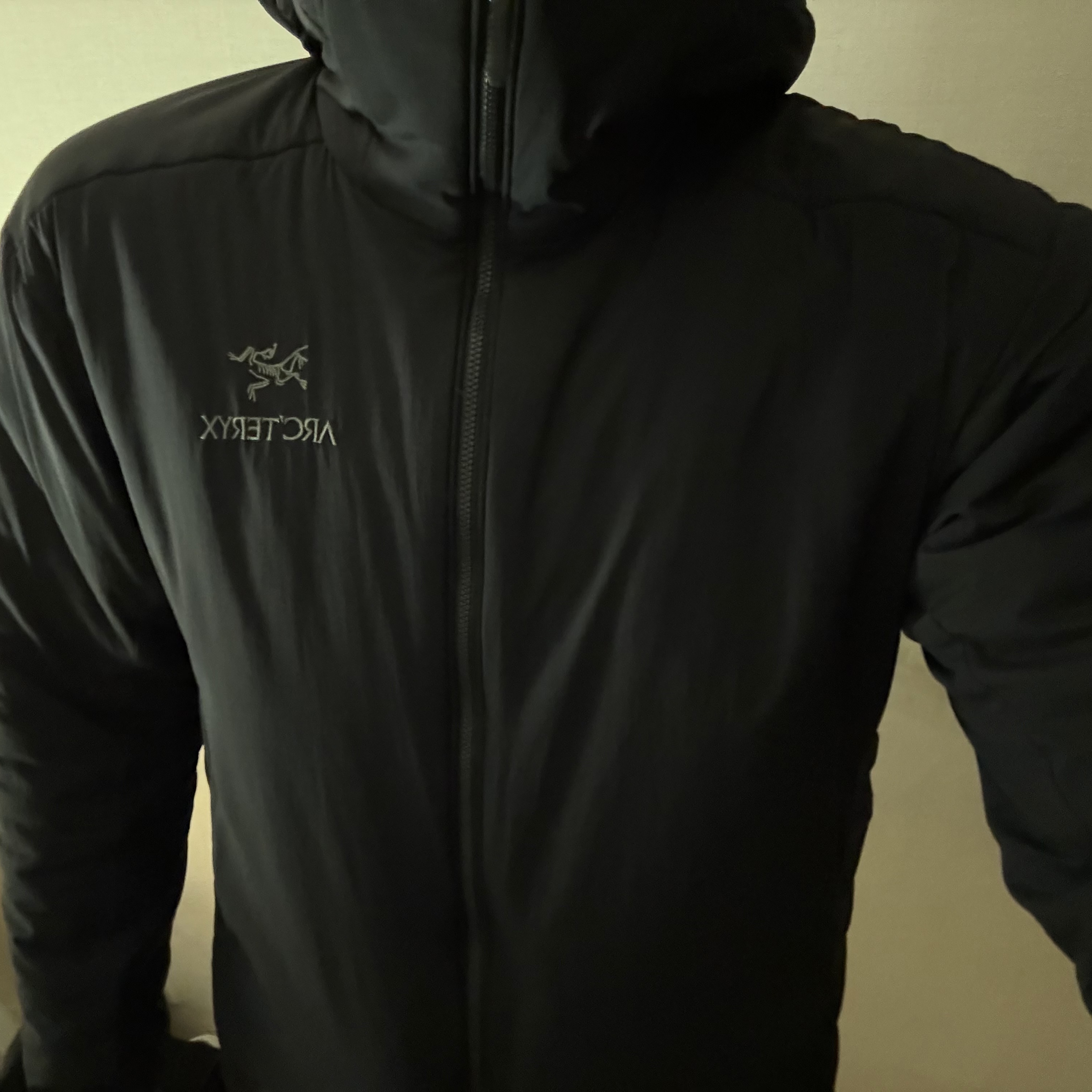 Arc'teryx Atom AR Hoody Black 착용 스타일
