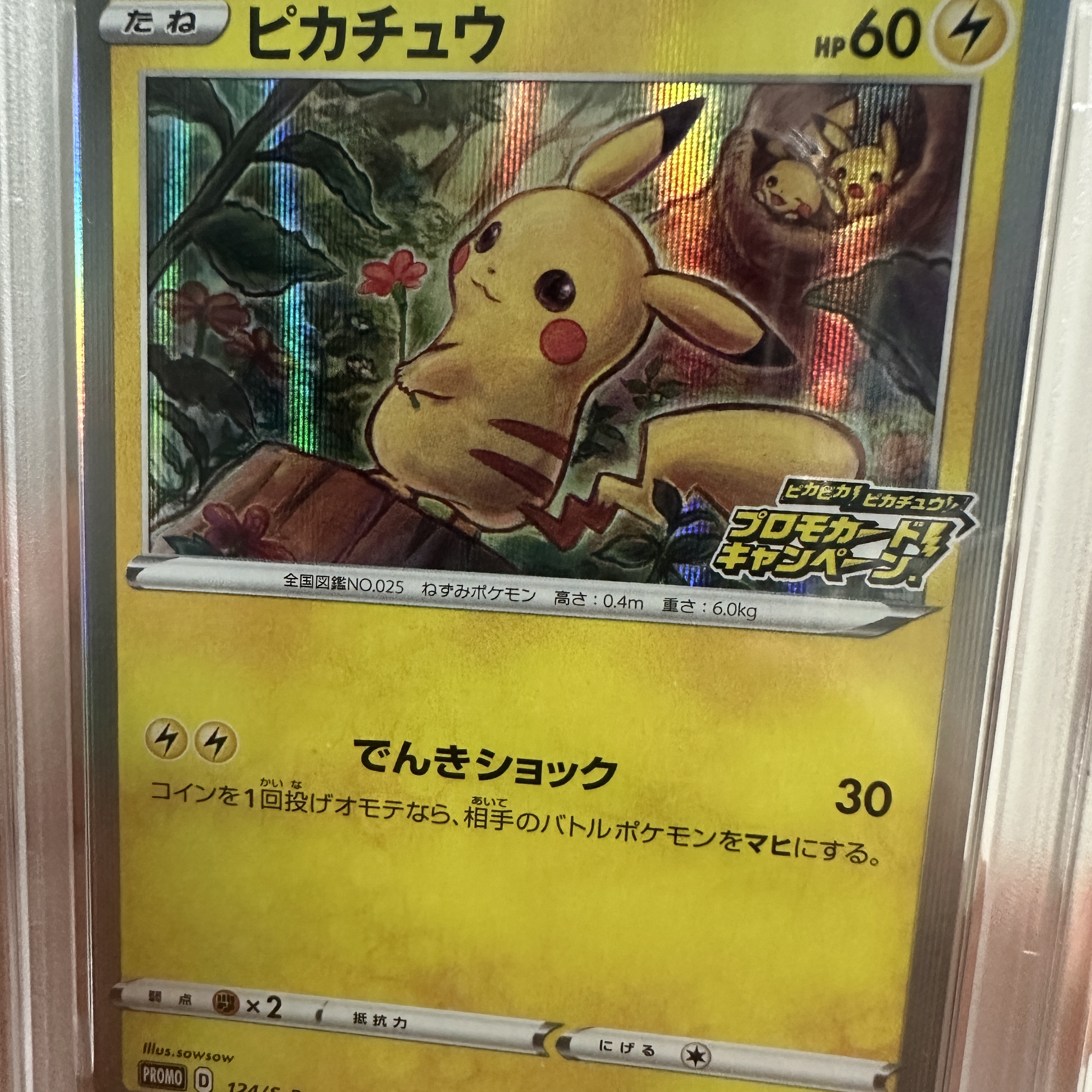 Pokemon TCG Pikachu P Sword & Shield Promos (Japanese Ver.) 착용 스타일