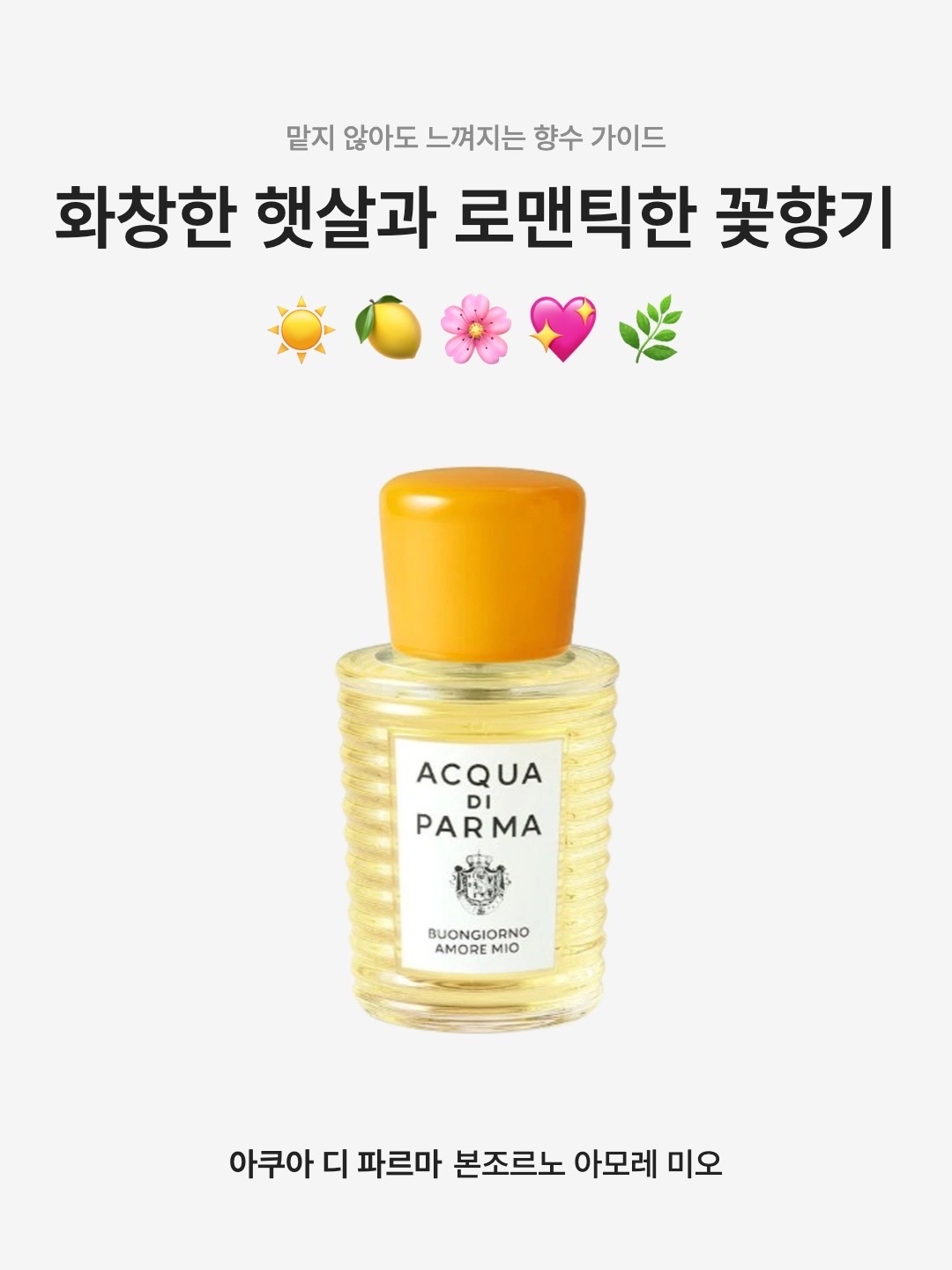 Acqua Di Parma Buongiorno Amore Mio Eau de Parfum 100ml 착용 스타일 - 1