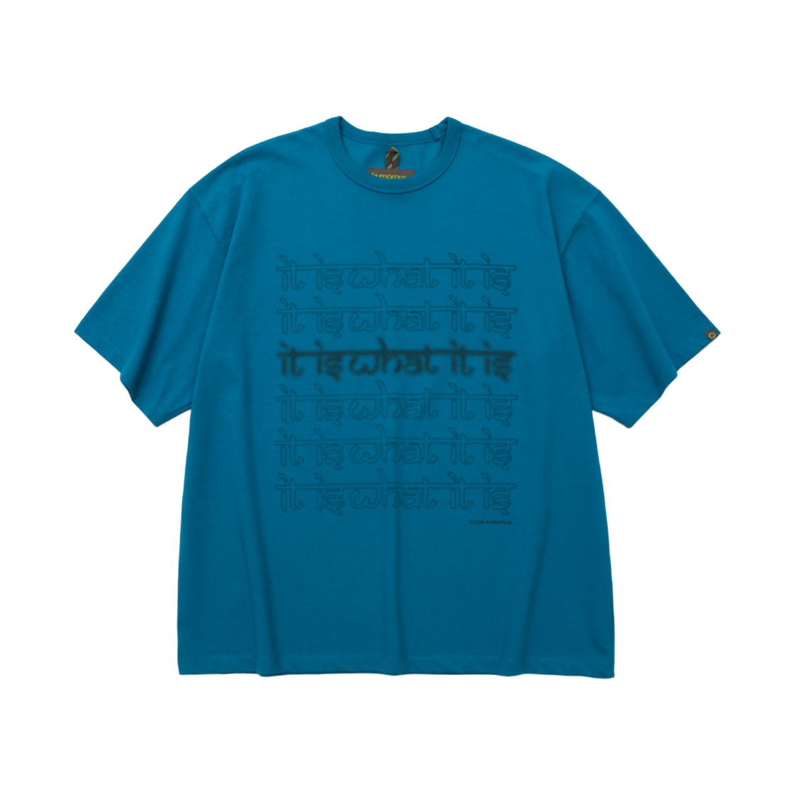 HM26SS-CS03 humorous account Iwi H/S Tee Teal Blue