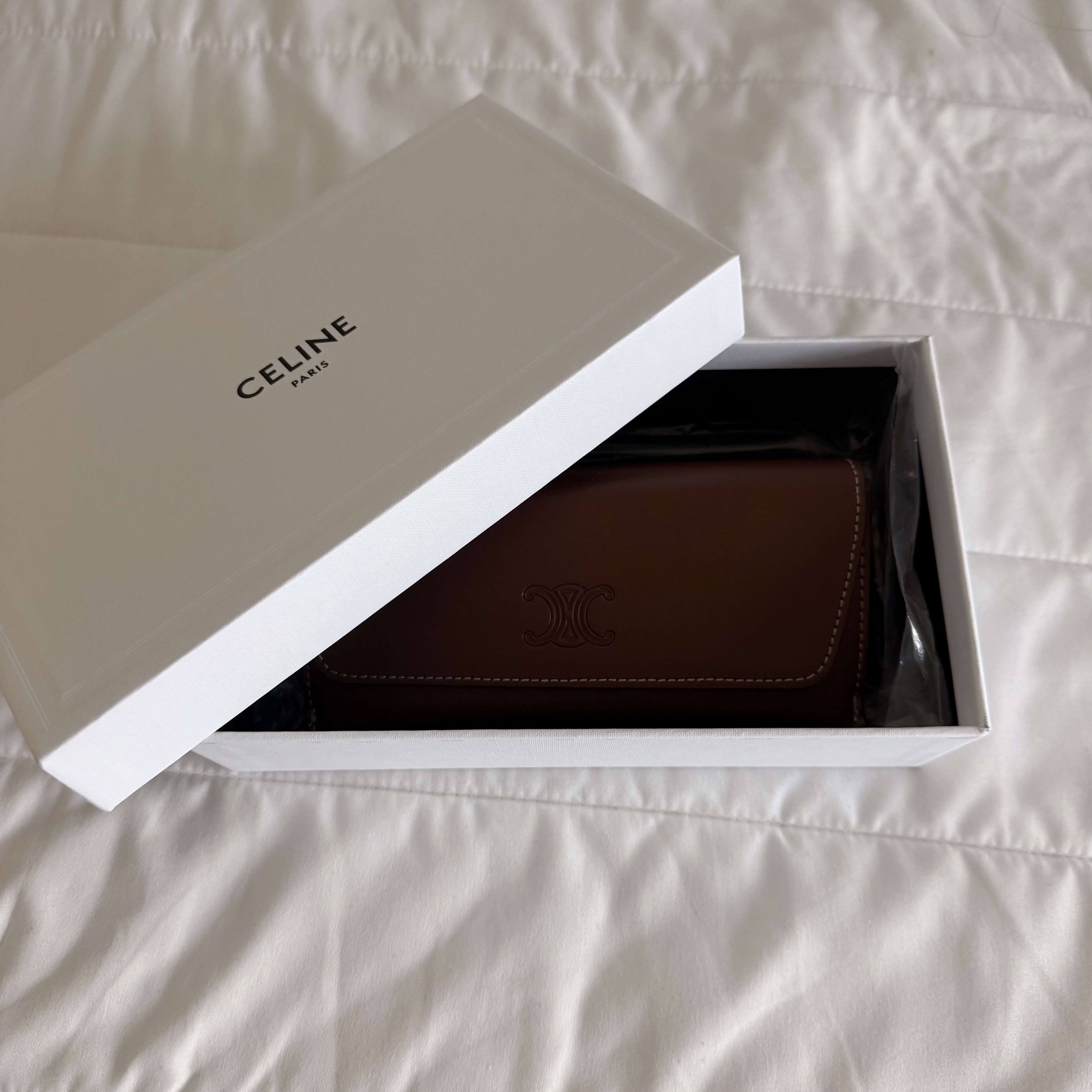(W) Celine Triomphe 01 Sunglasses in Acetate Black 착용 스타일 - 1