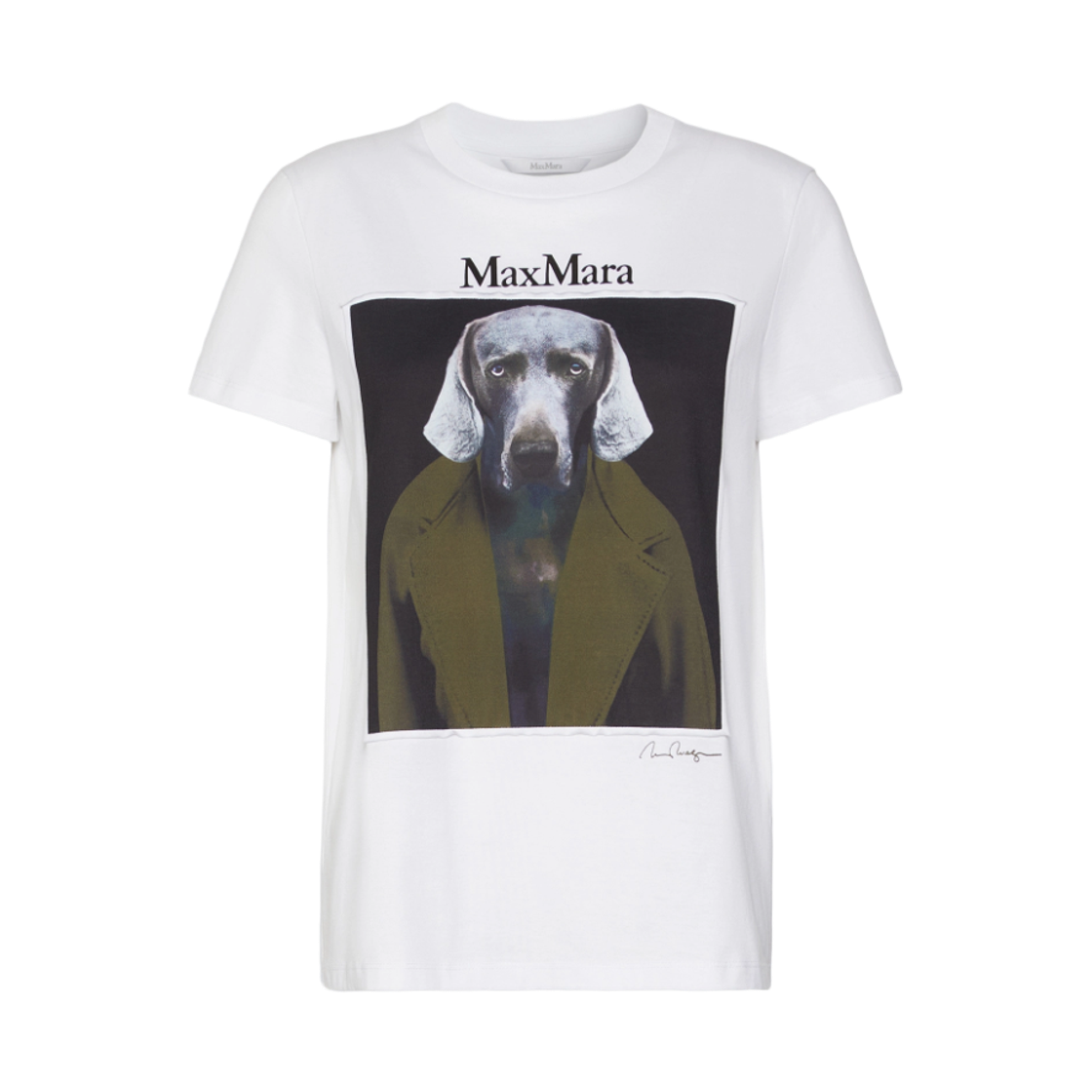 CALCA-010 (W) Max Mara Calca Cotton T-Shirt White